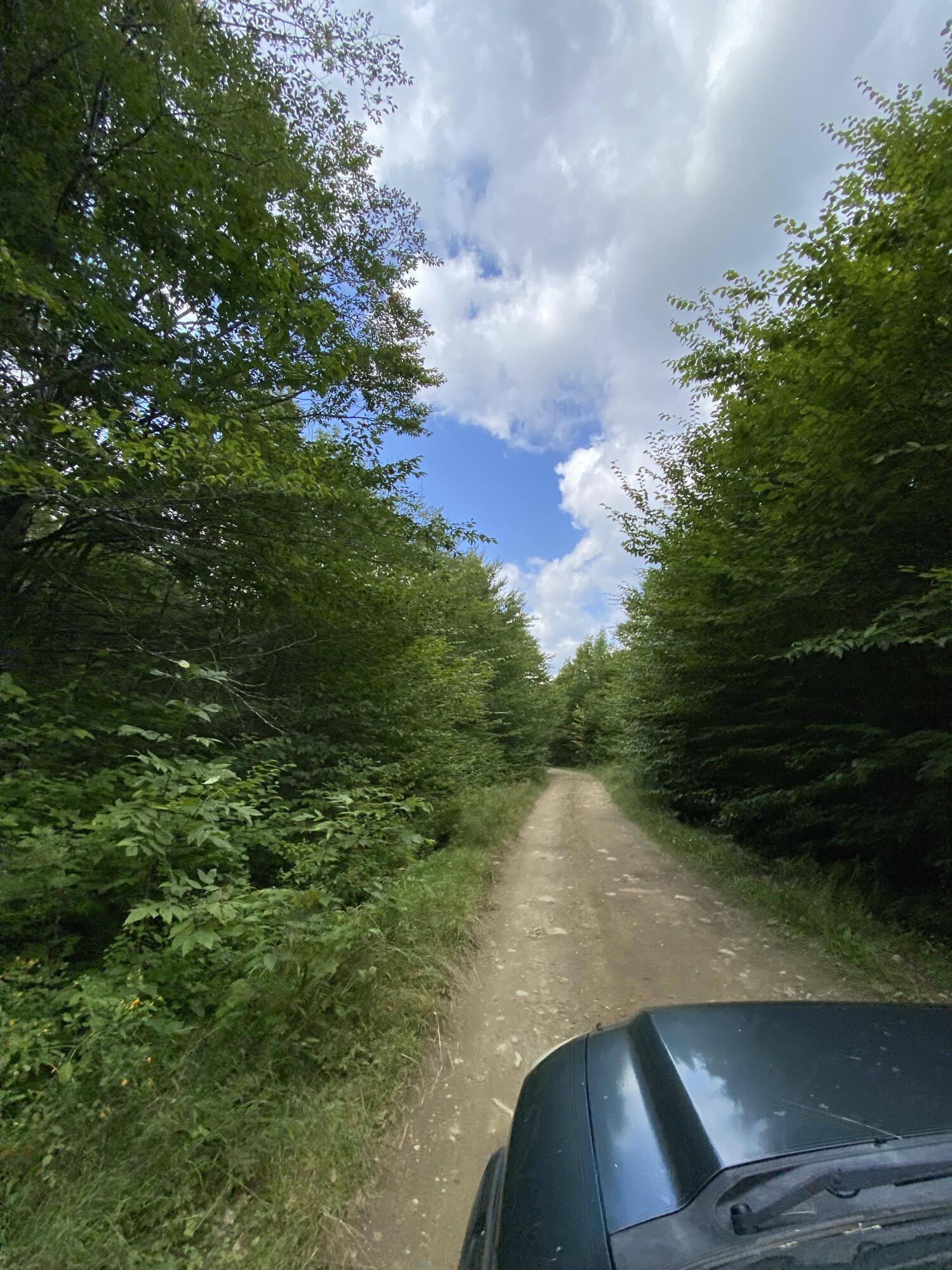 Lot 43 Fire Road
