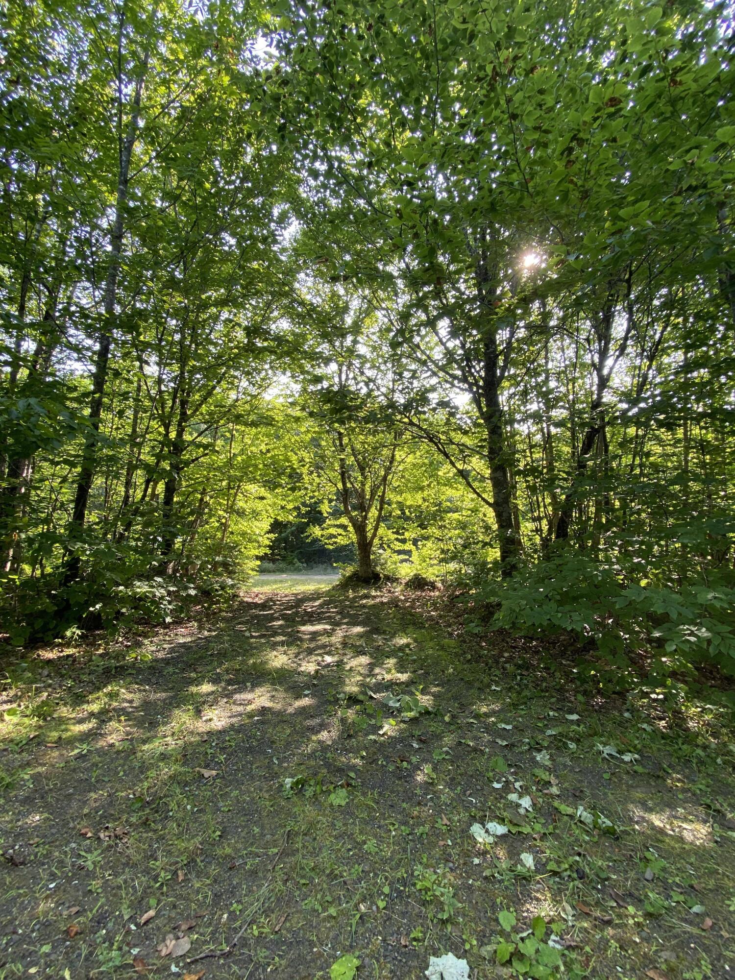 Lot 43 Fire Road