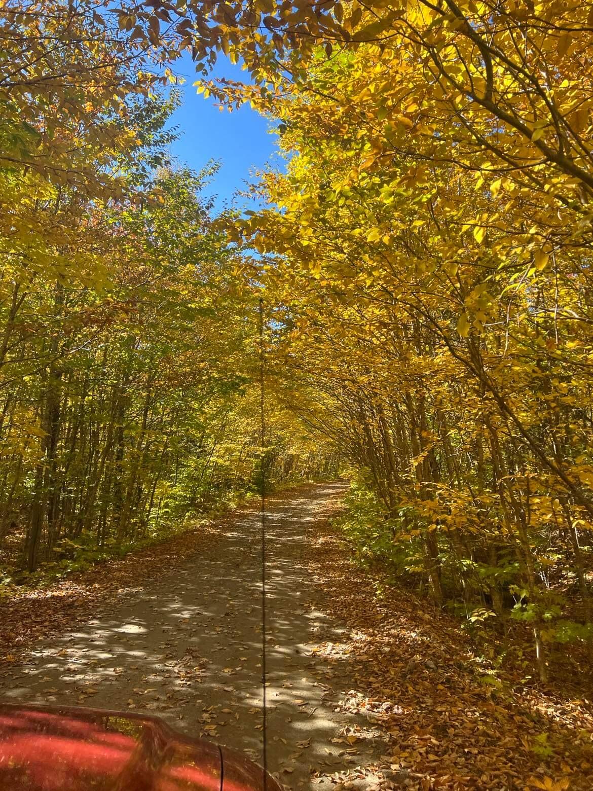 Lot 43 Fire Road