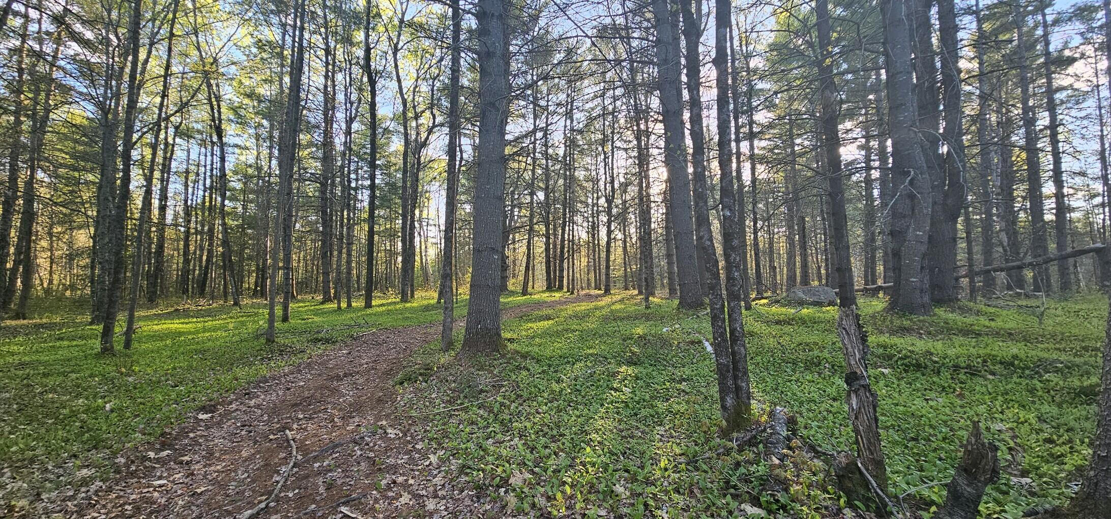 2588 Bennoch Road