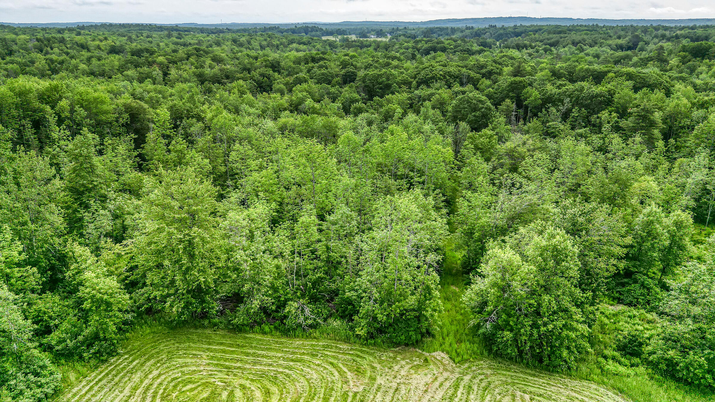 Lot 1 Indiana Road