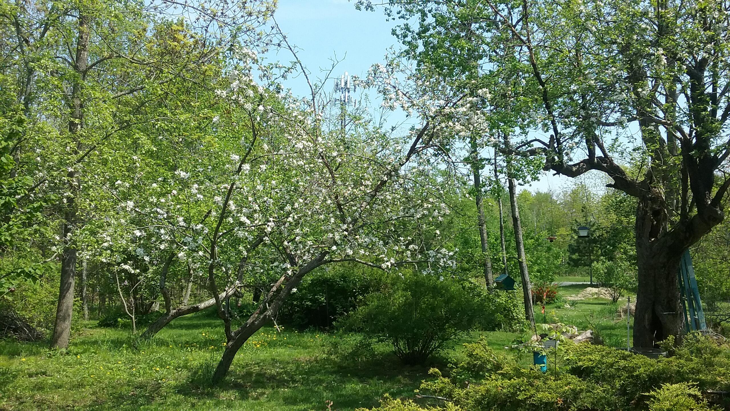 417 Quaker Ridge Road
