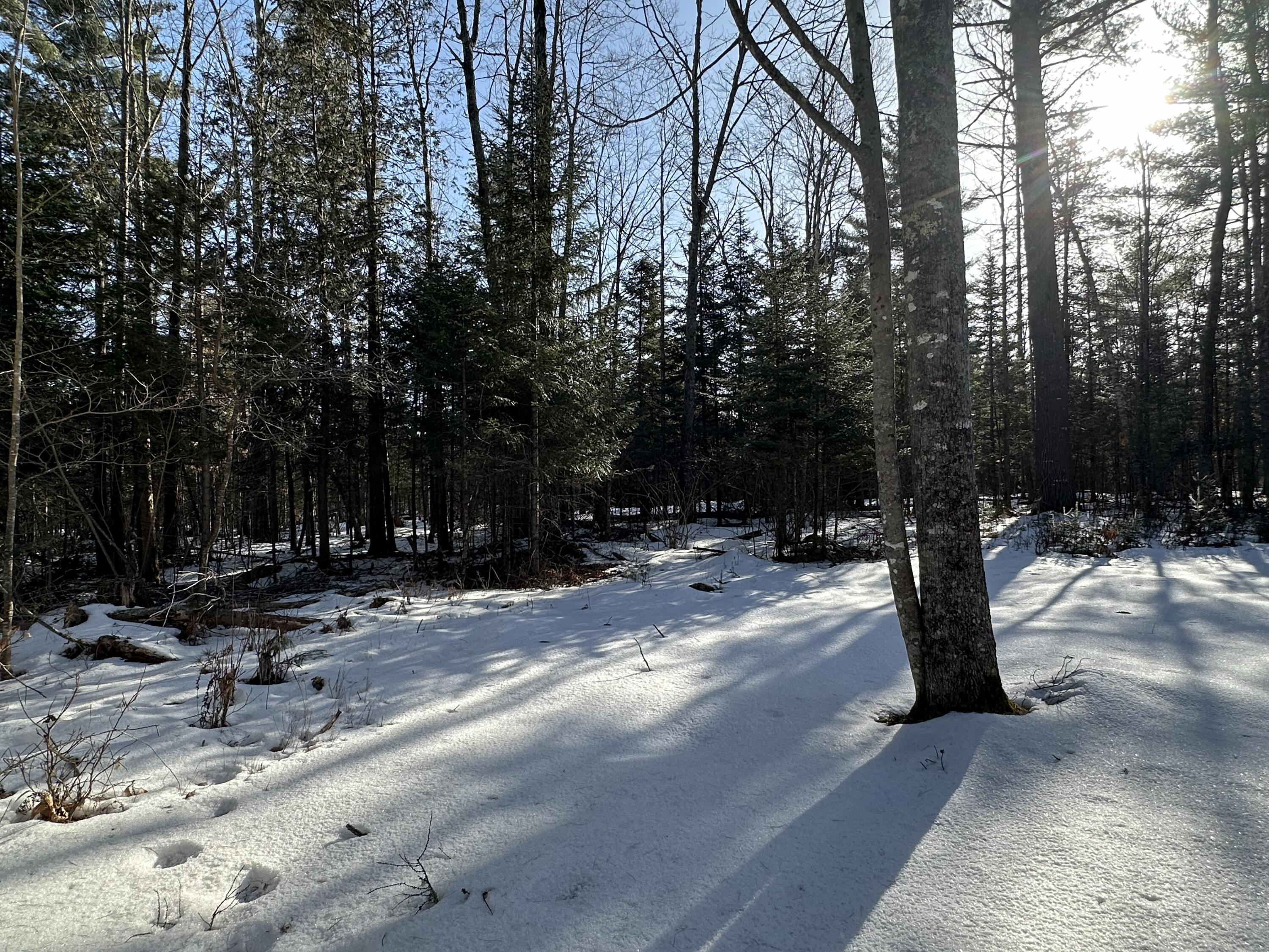 272 Warren Hill Road