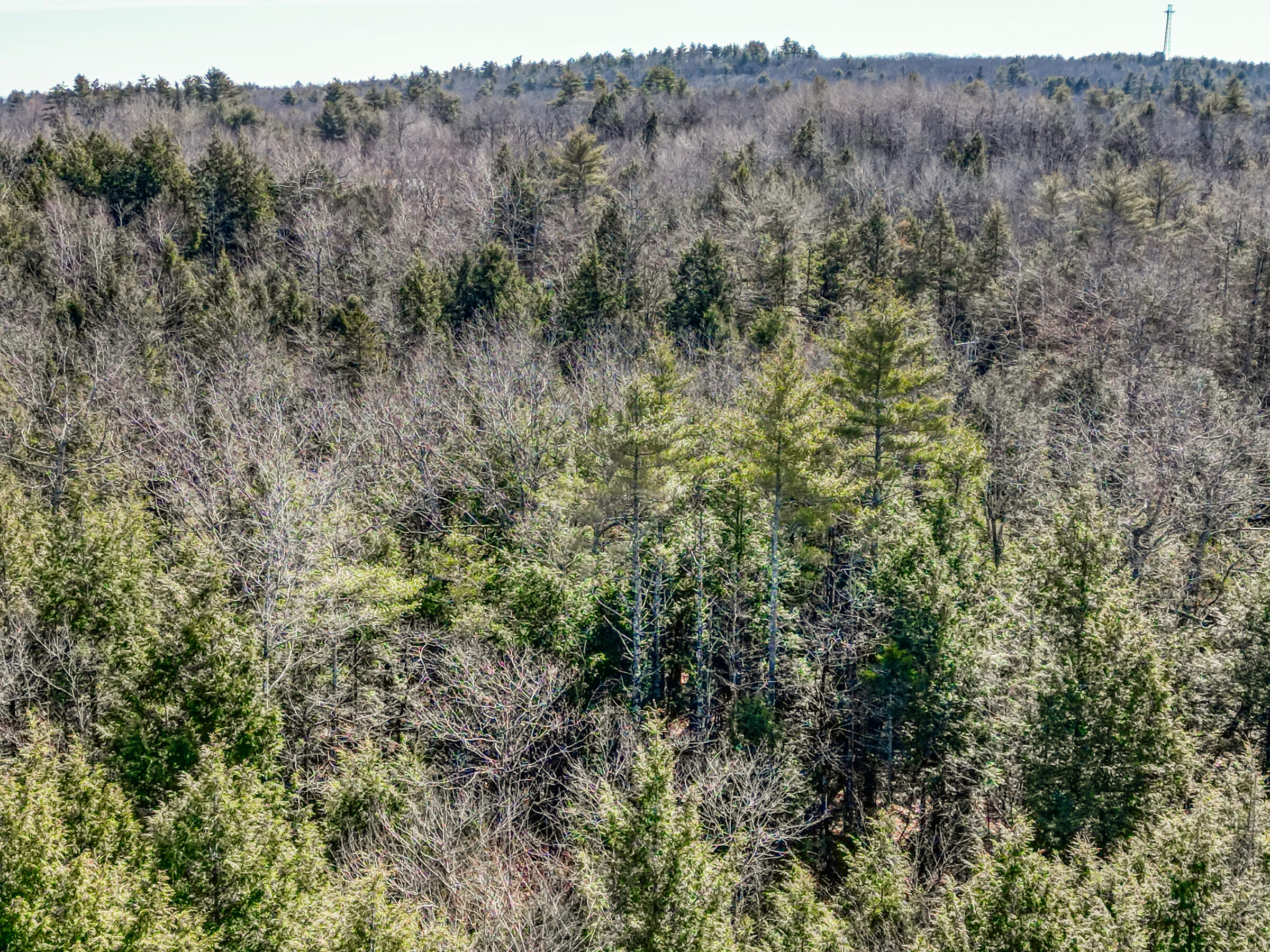 Lot 14 Pushard Ln/Lot 2 Brunswick Avenue