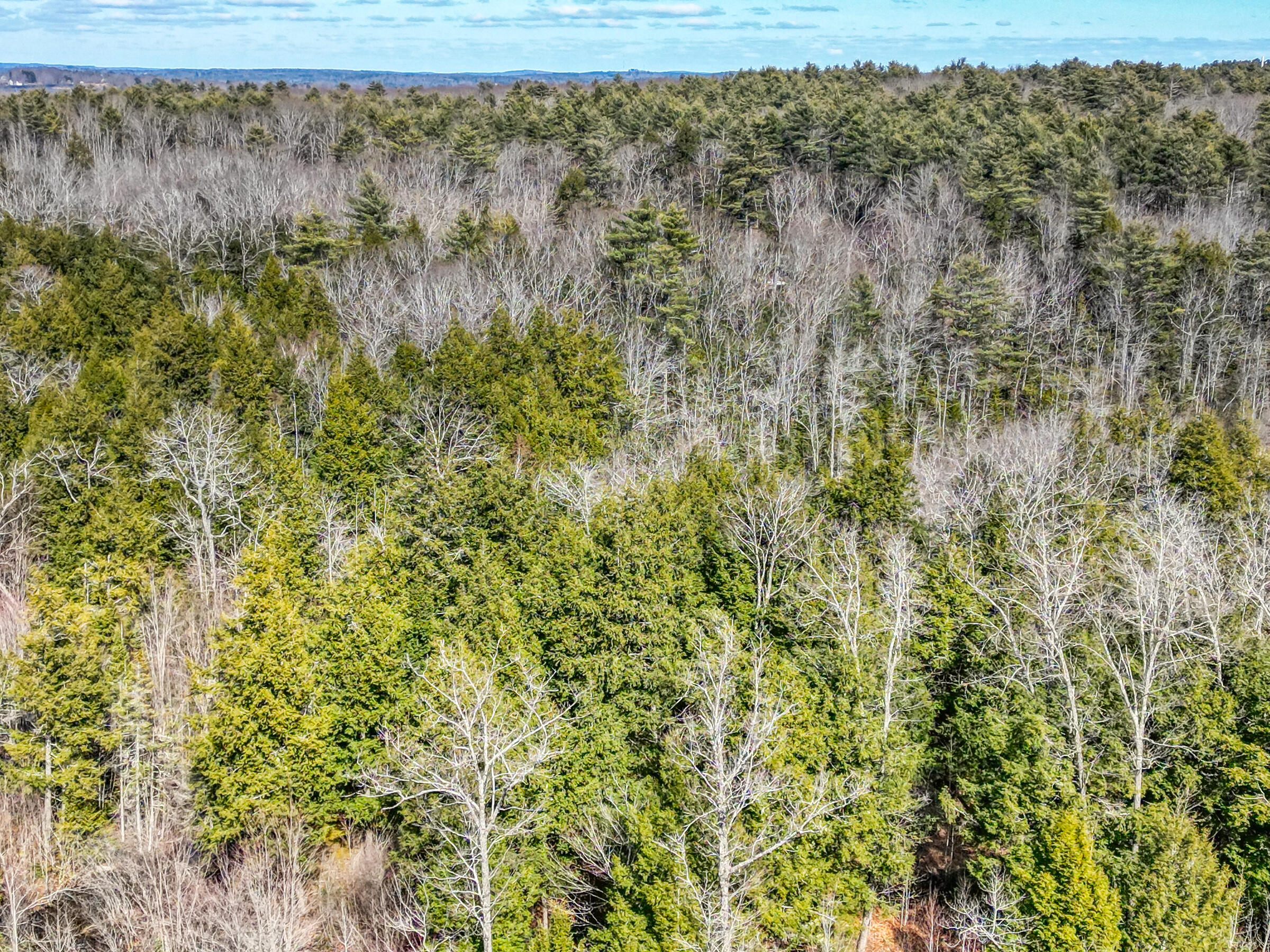 Lot 14 Pushard Ln/Lot 2 Brunswick Avenue