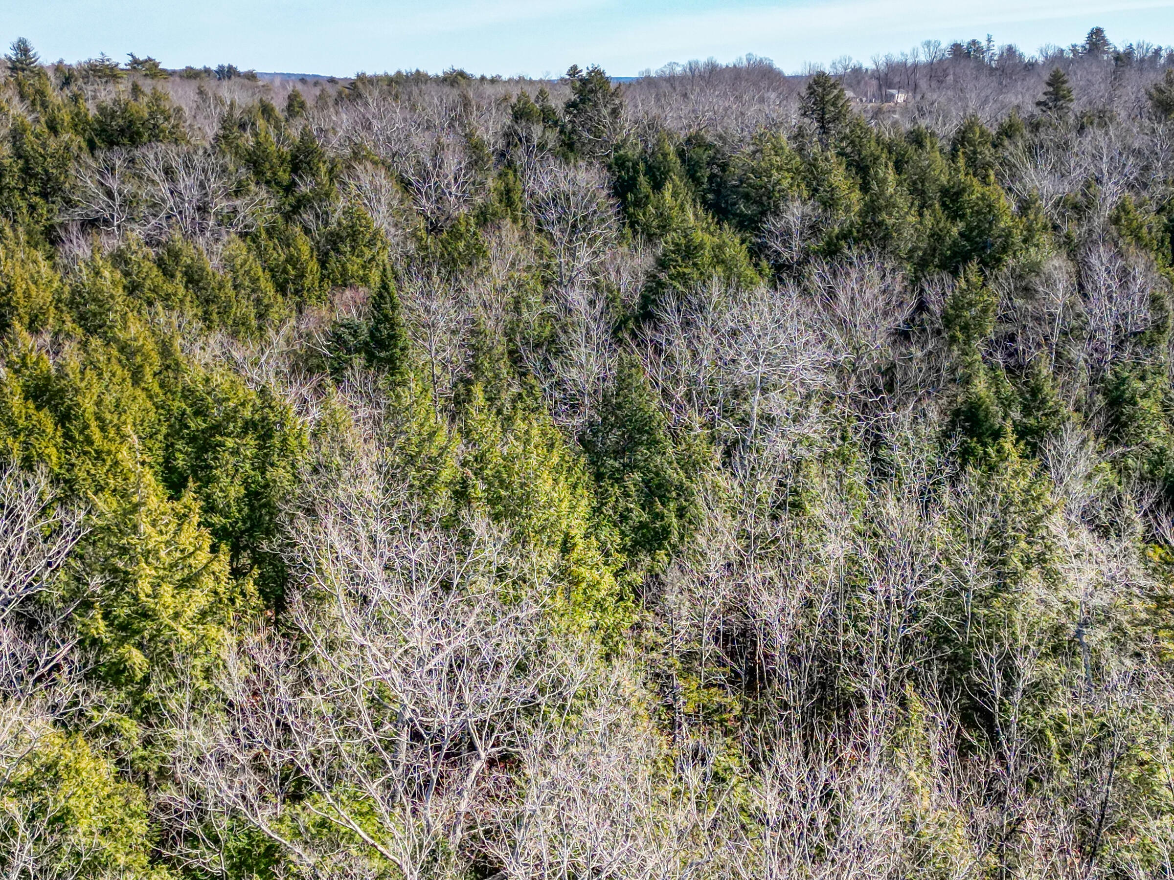 Lot 14 Pushard Ln/Lot 2 Brunswick Avenue