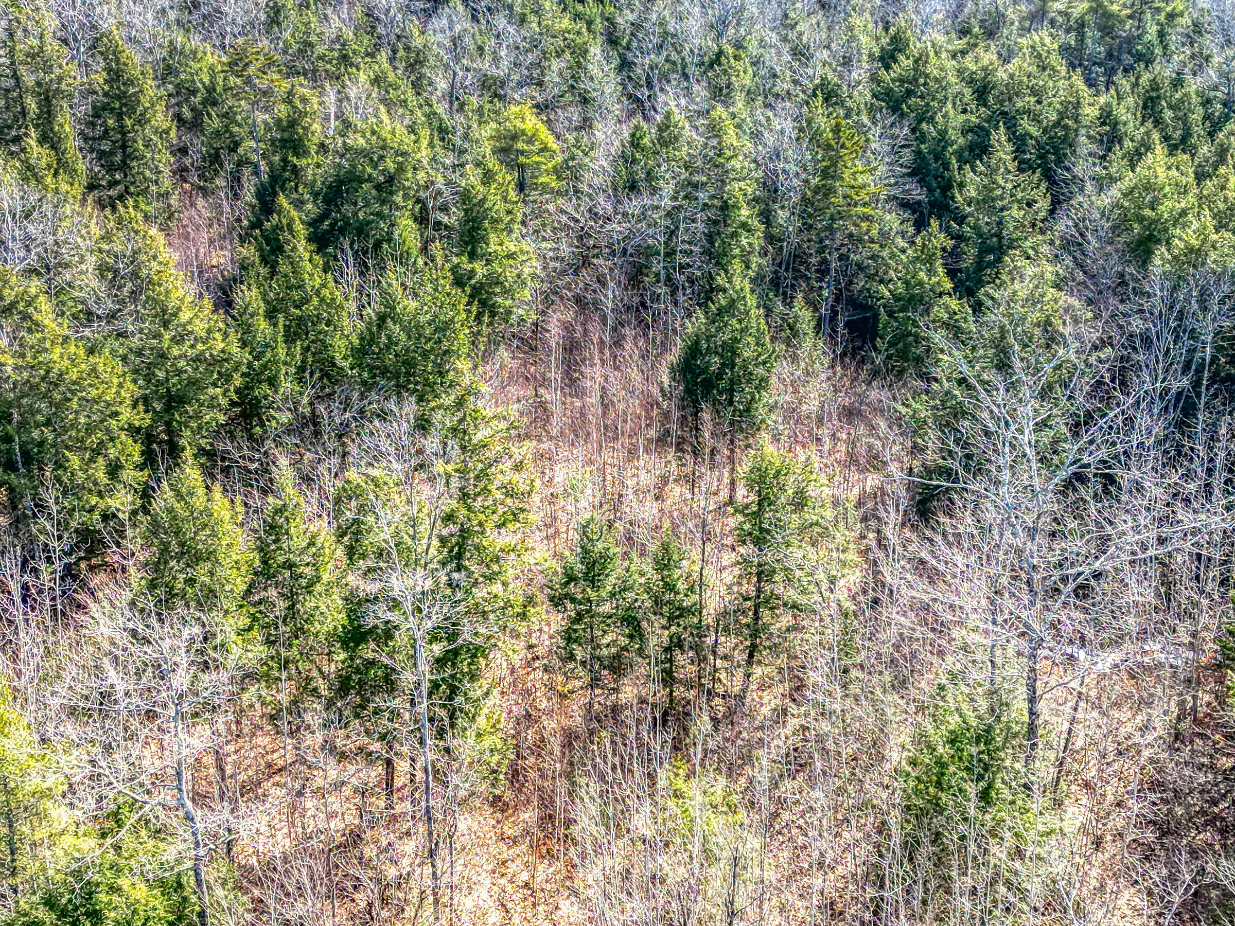 Lot 14 Pushard Ln/Lot 2 Brunswick Avenue