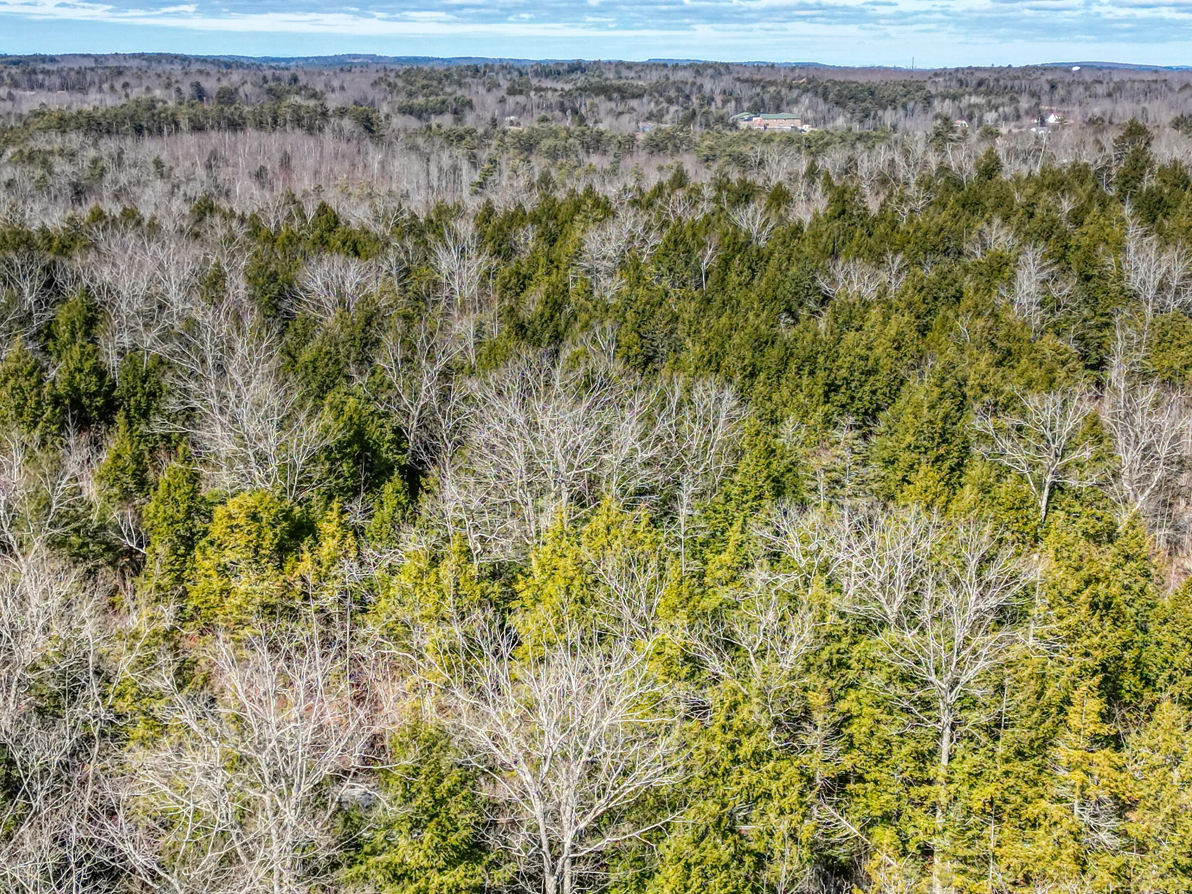 Lot 14 Pushard Ln/Lot 2 Brunswick Avenue