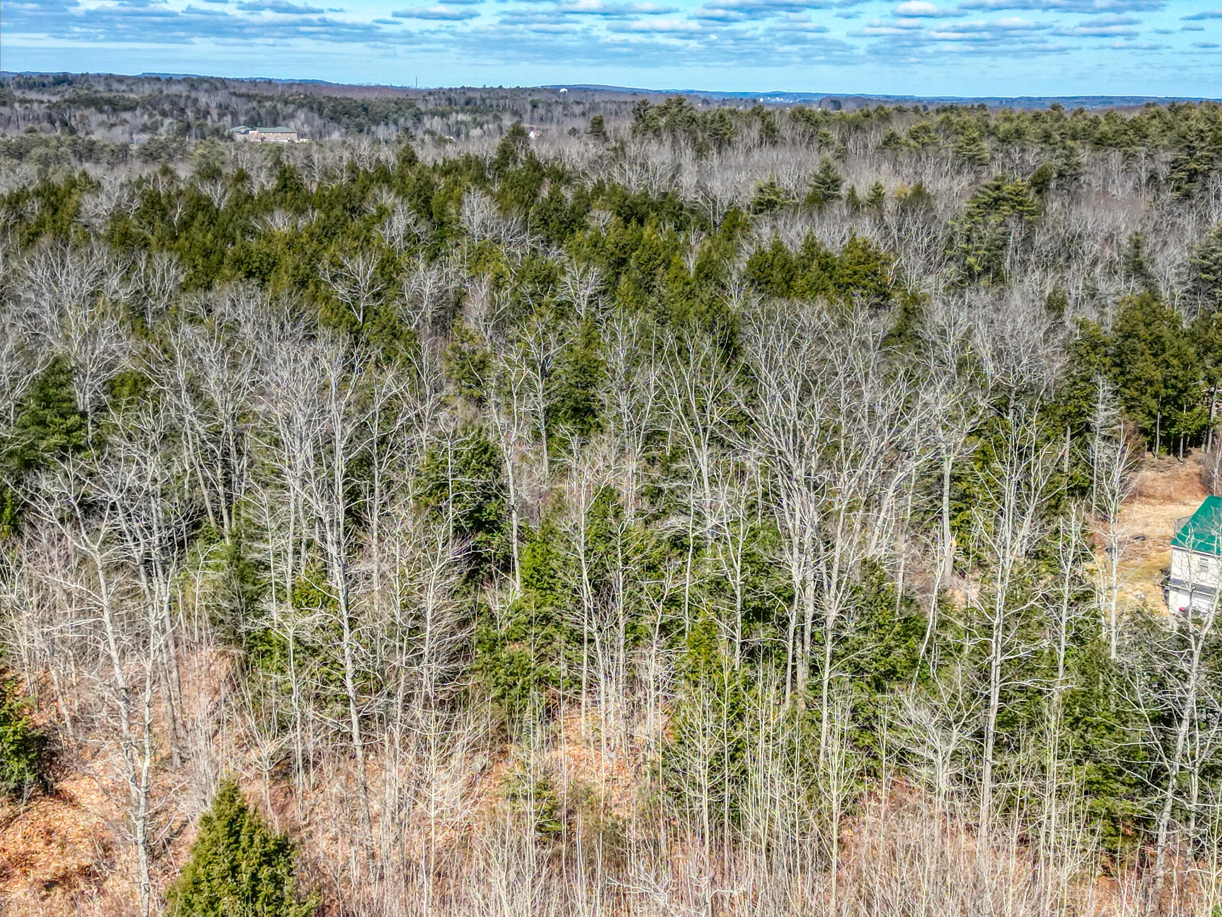 Lot 14 Pushard Ln/Lot 2 Brunswick Avenue