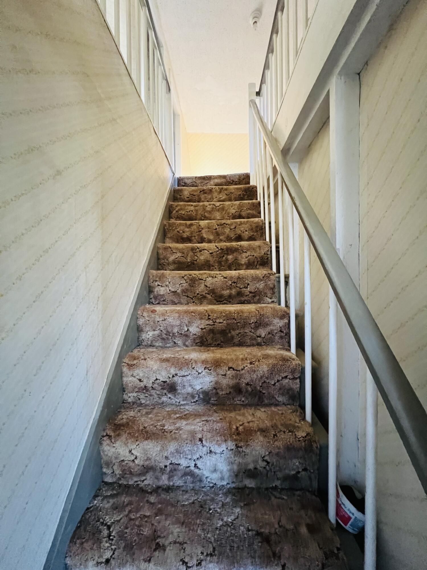 188 Back Street
