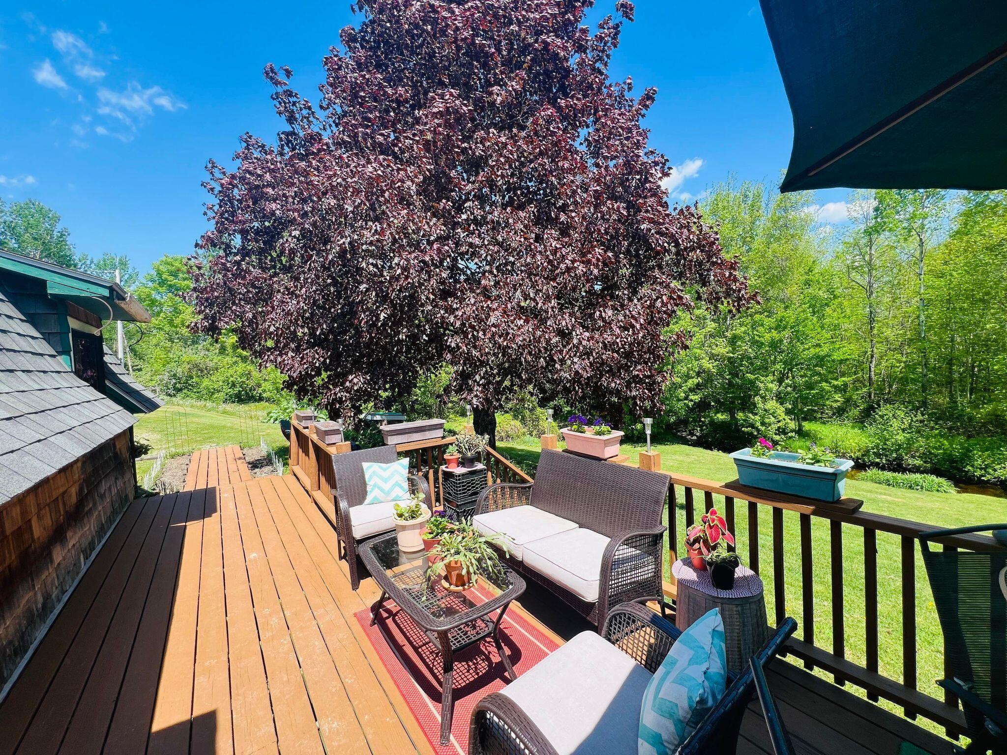 47 Sherrard Lane