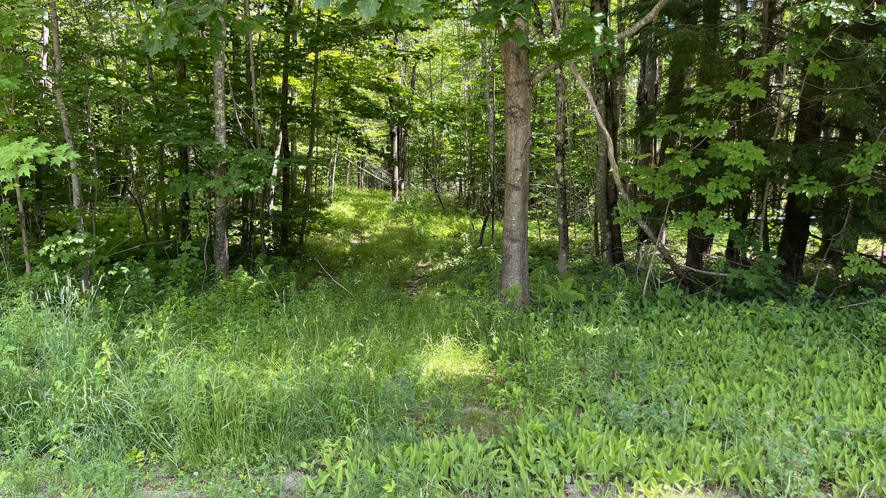 Lot 9 Hallowell Road