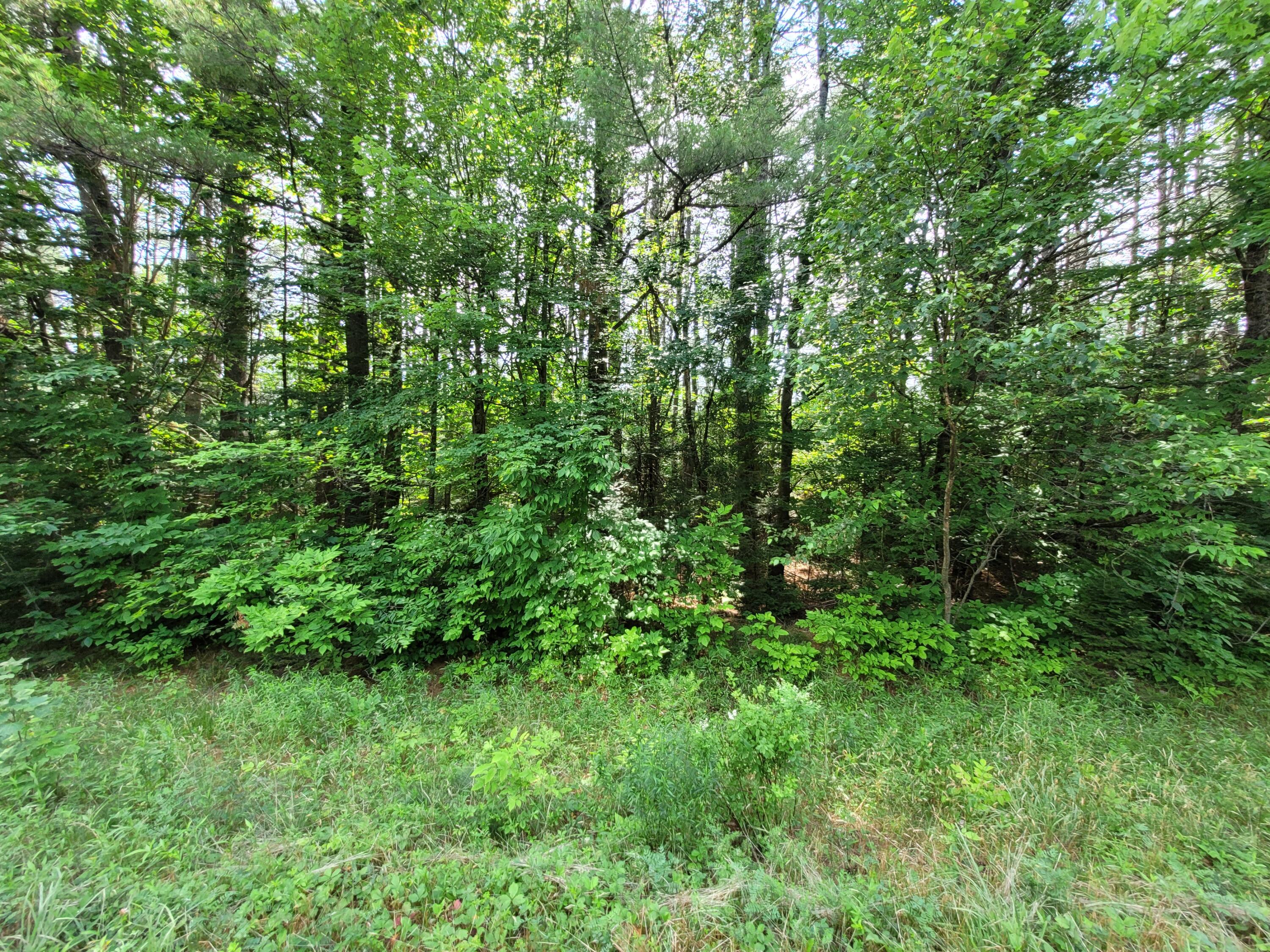 Lot 10-A1 Norridgewock Road