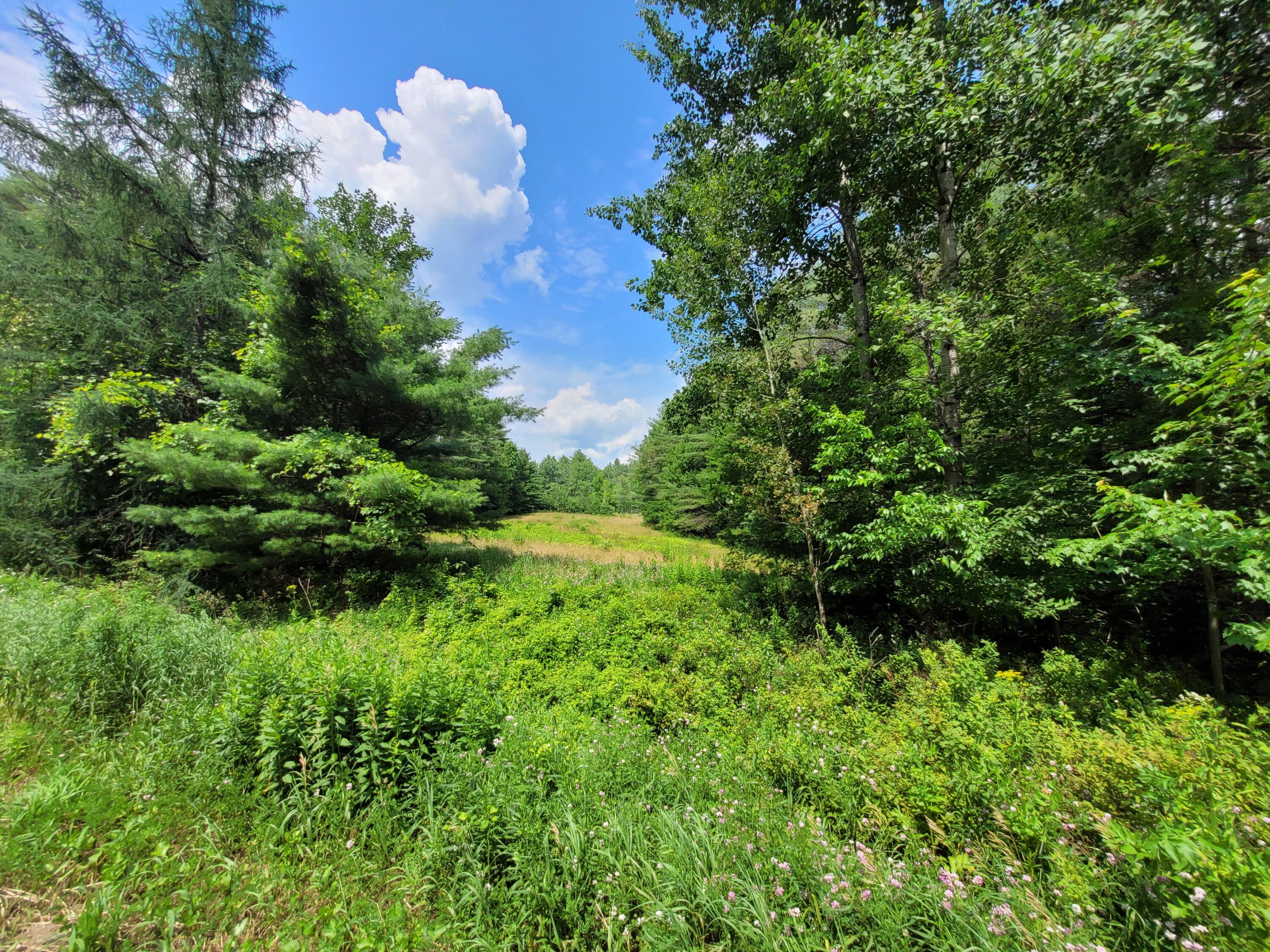 Lot 10B Old Norridgewock Road