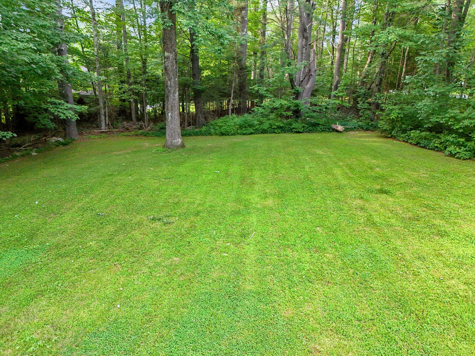 93 Davis Road