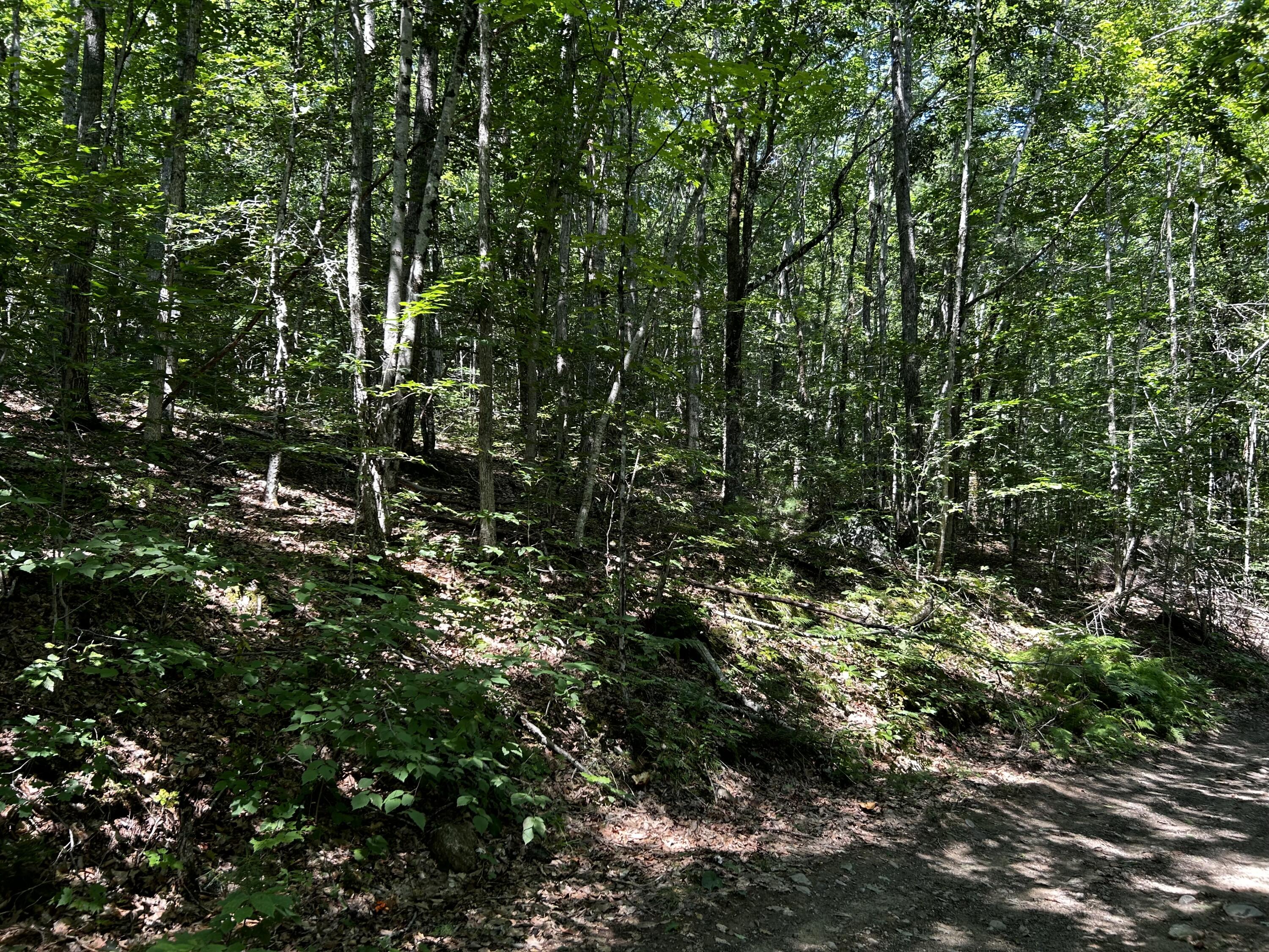 00 Happy Valley Road