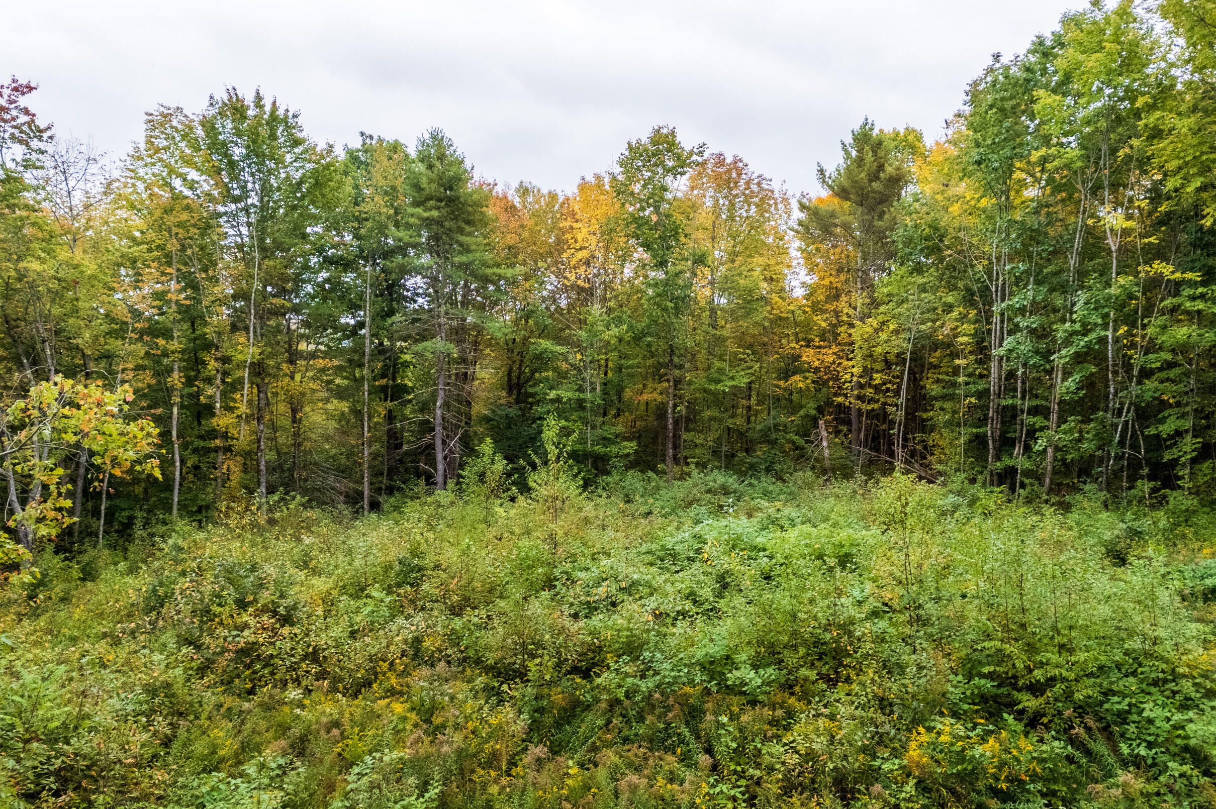 33 Lawson Ridge Lane