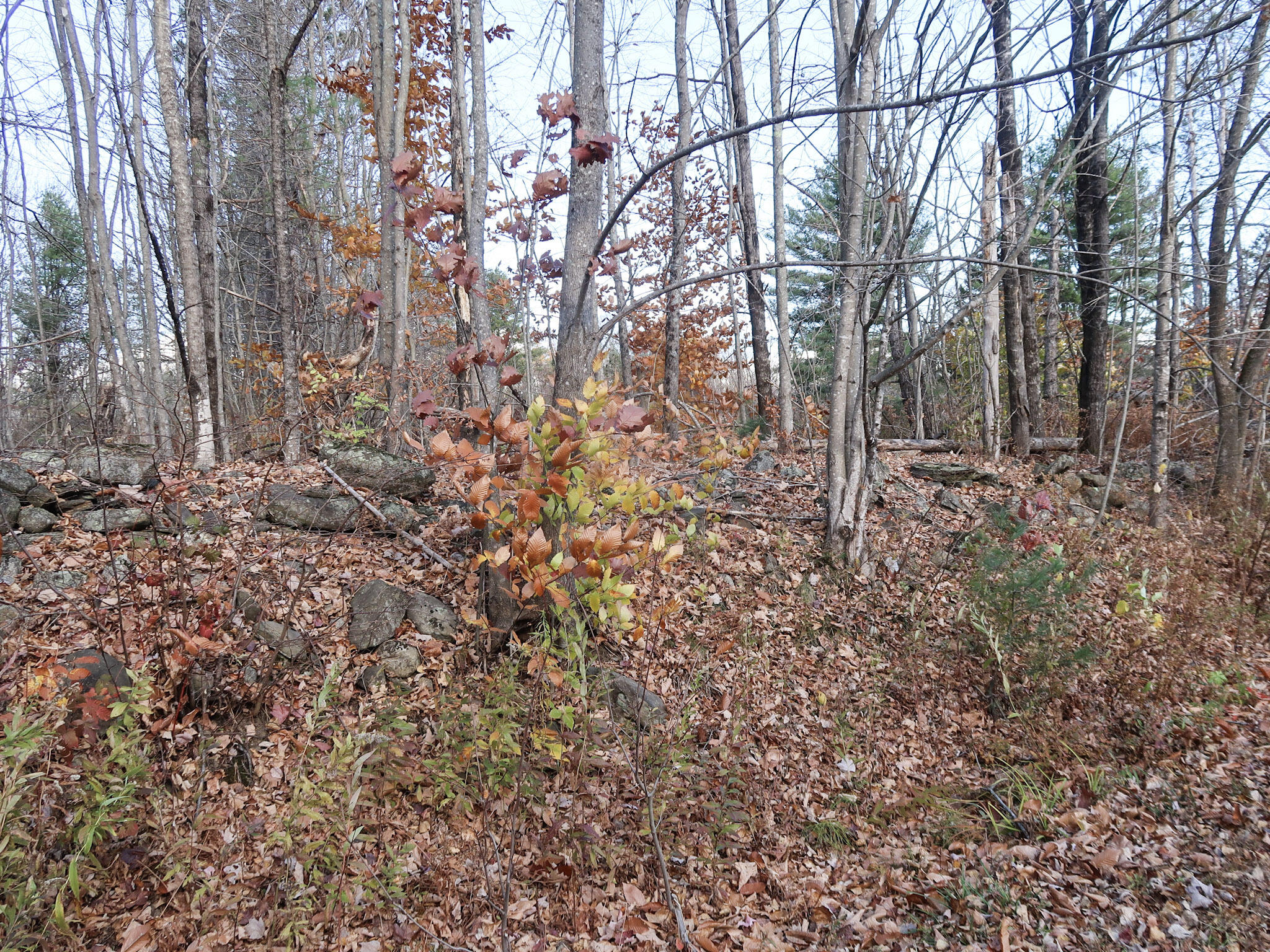 Lot #38 Nickerson Hill Road