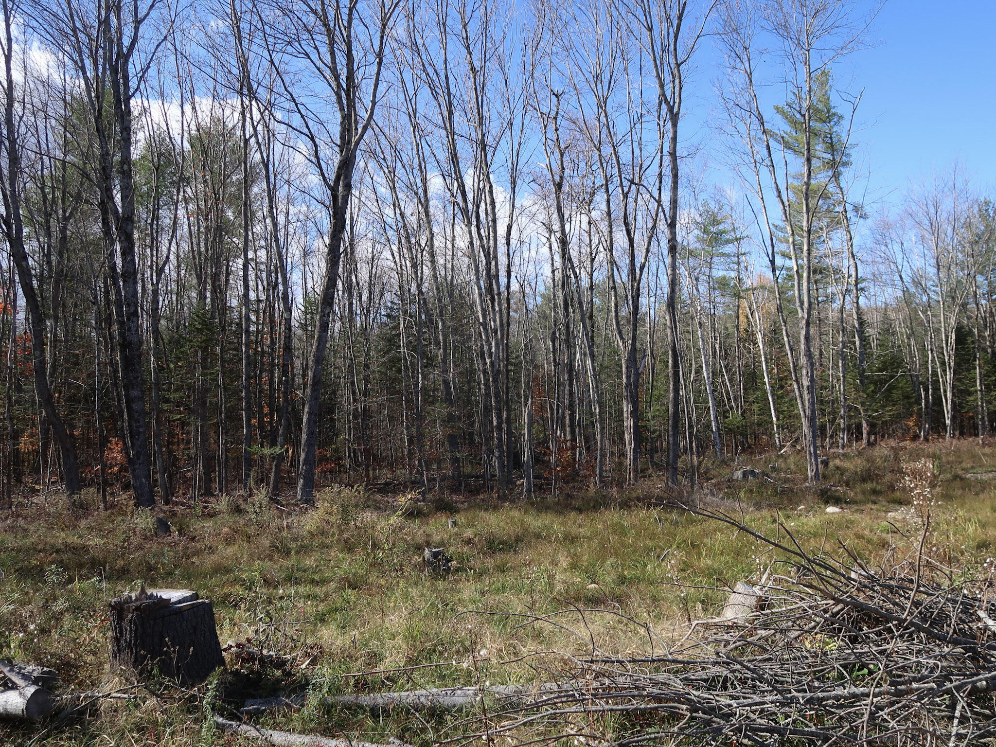 Lot #38 Nickerson Hill Road