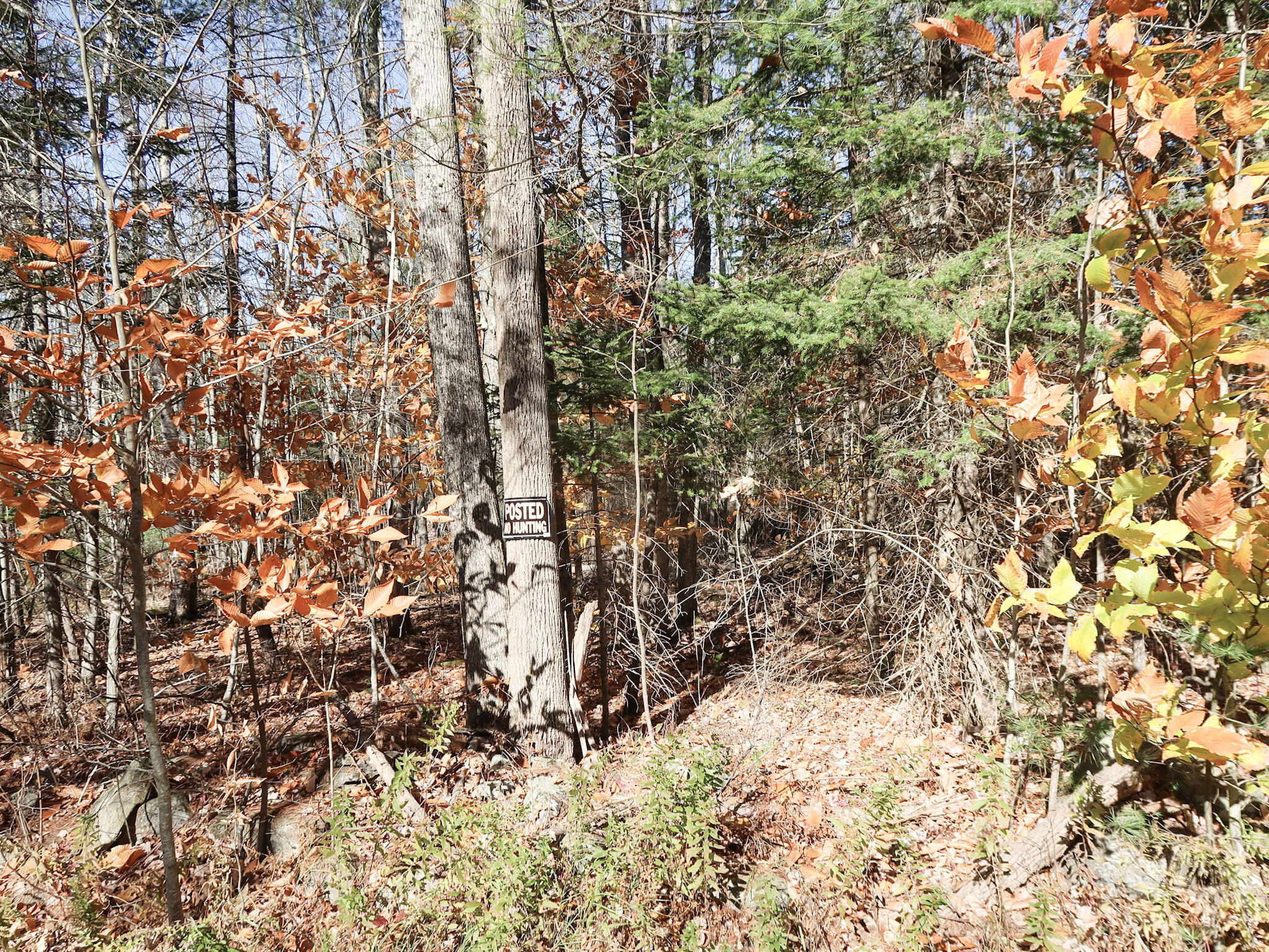 Lot #38 Nickerson Hill Road