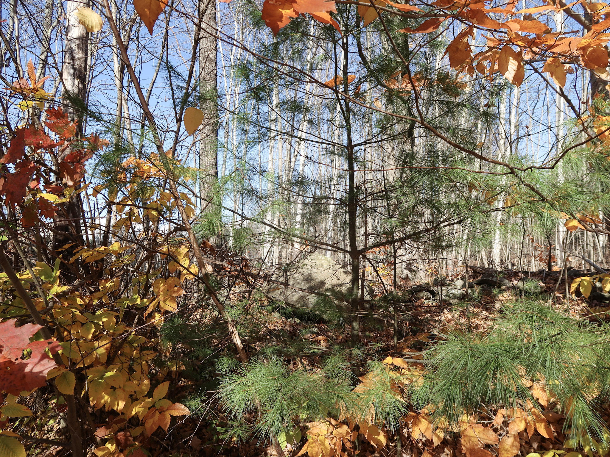 Lot #38 Nickerson Hill Road