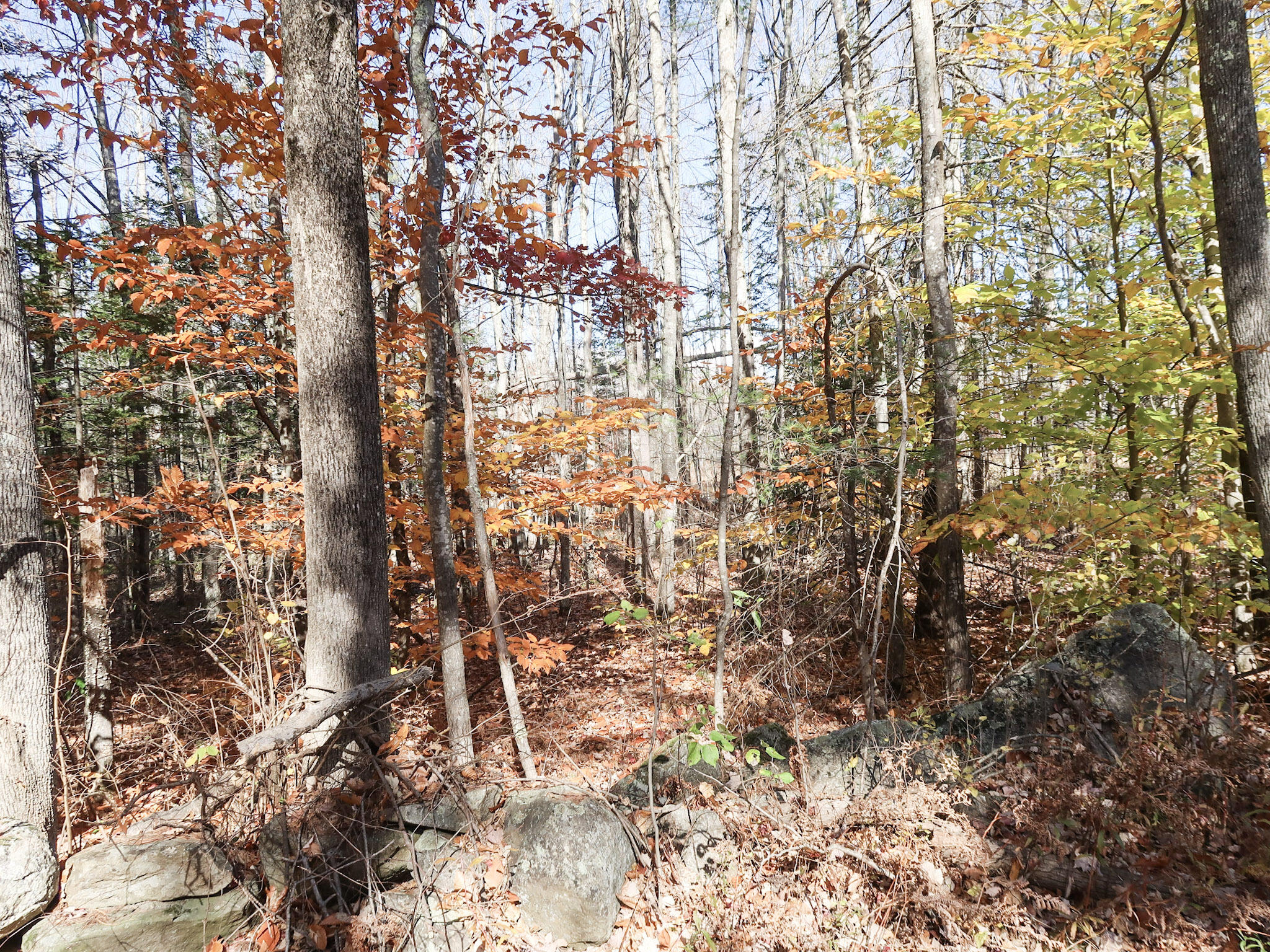 Lot #38 Nickerson Hill Road