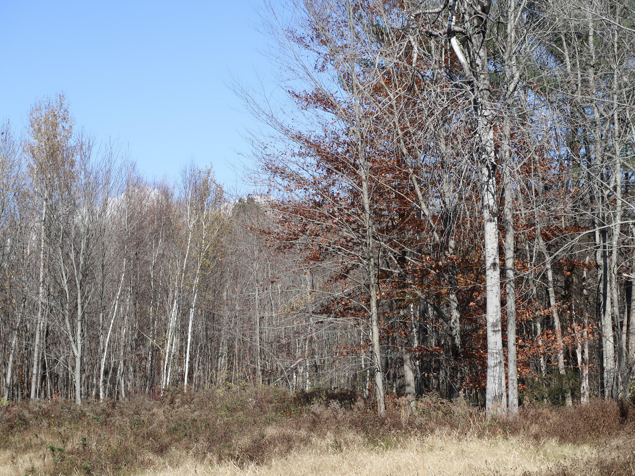 Lot #38 Nickerson Hill Road