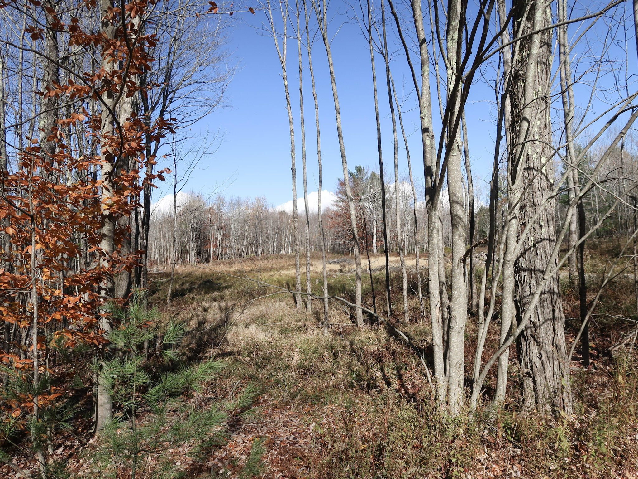Lot #38 Nickerson Hill Road