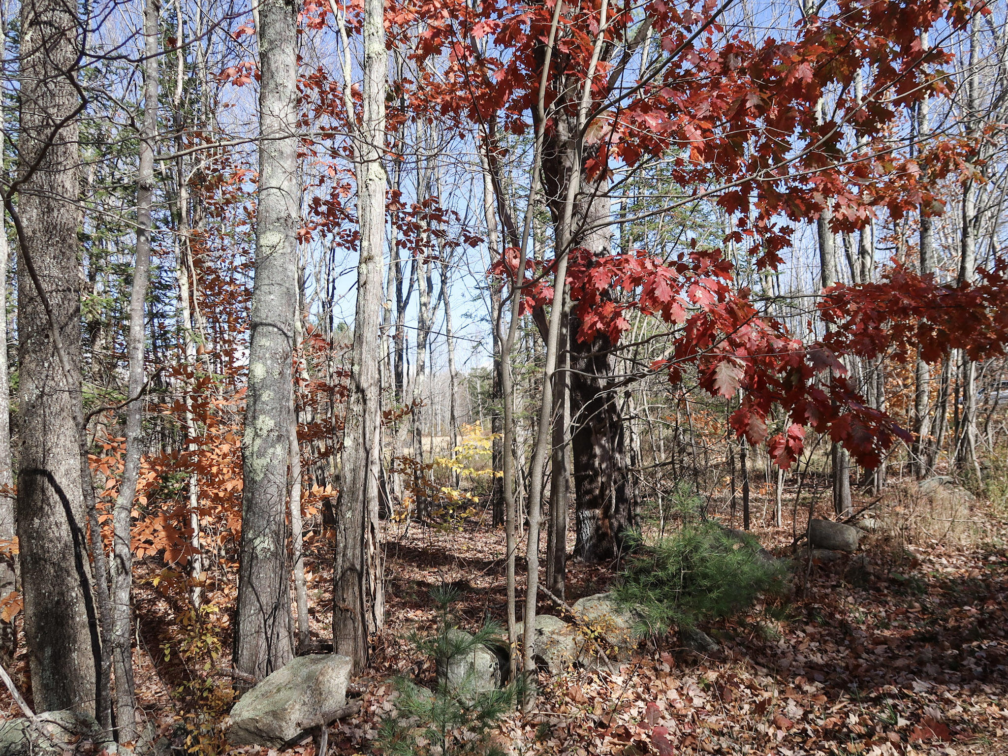 Lot #38 Nickerson Hill Road