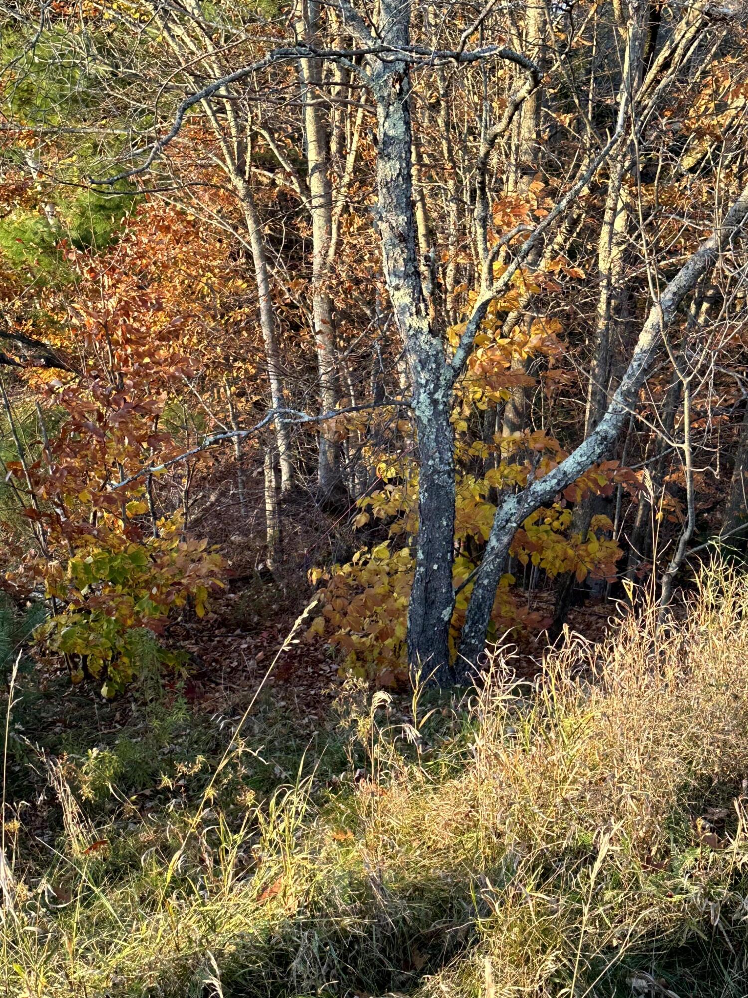 Map 14 Lot 5 Unity Road