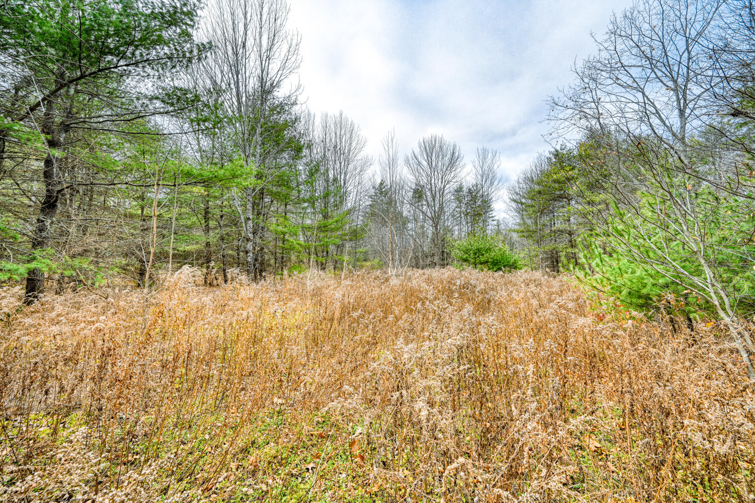 Map 14 Lot 5 Unity Road