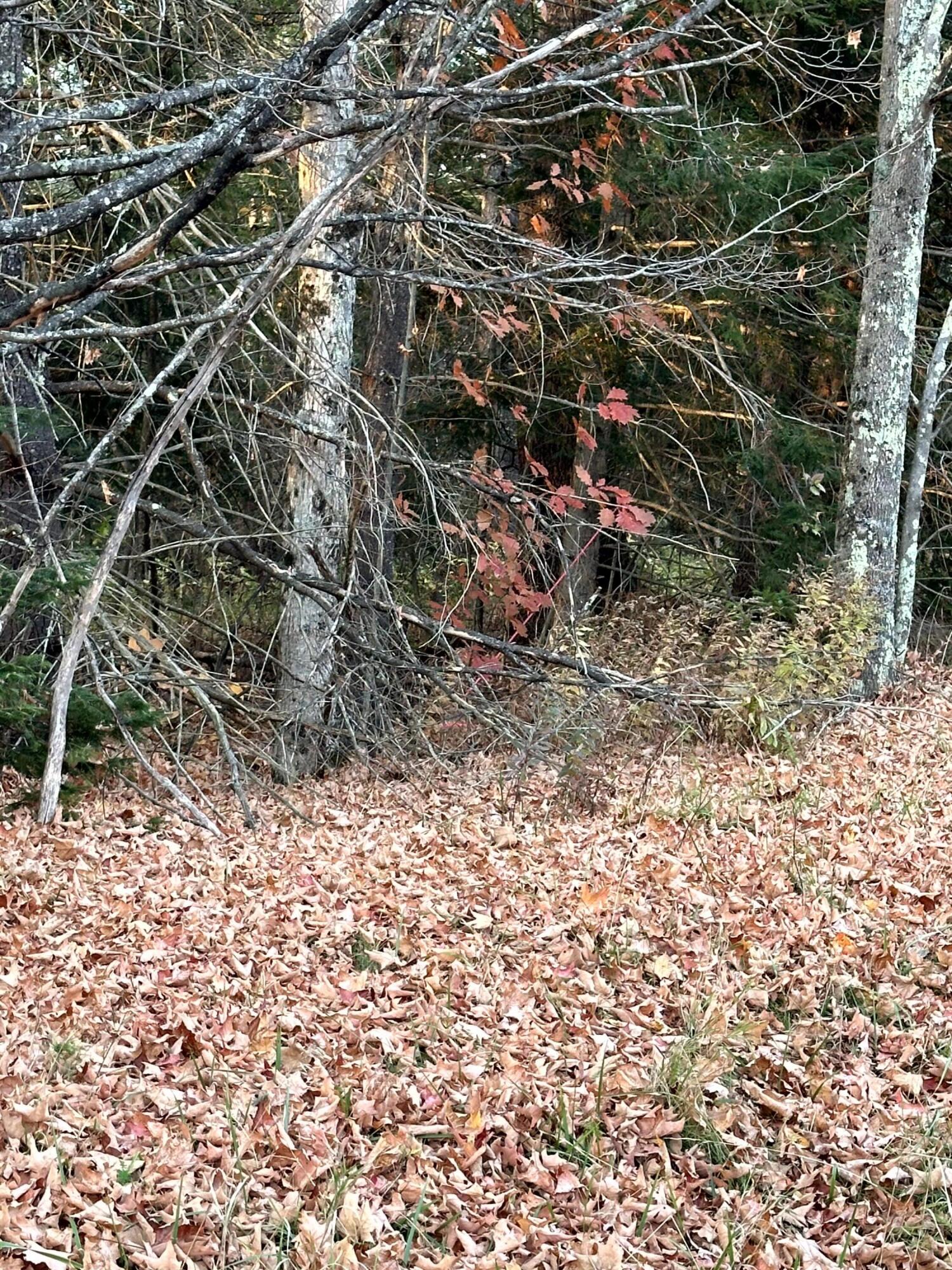 Map 14 Lot 5 Unity Road