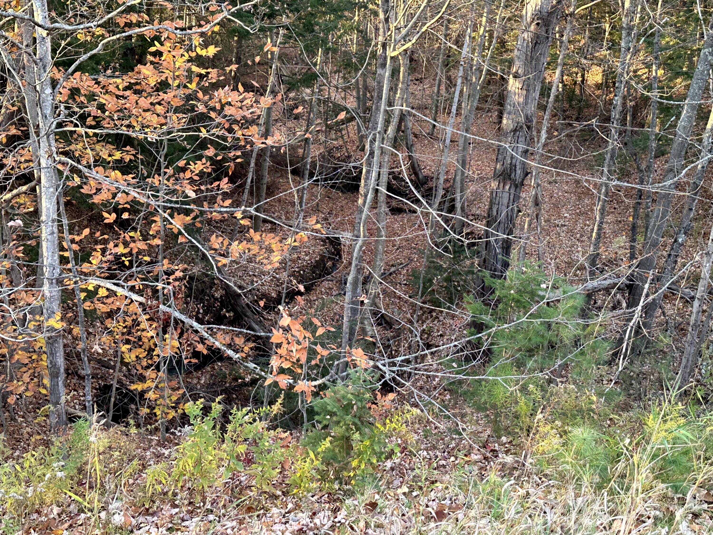 Map 14 Lot 5 Unity Road