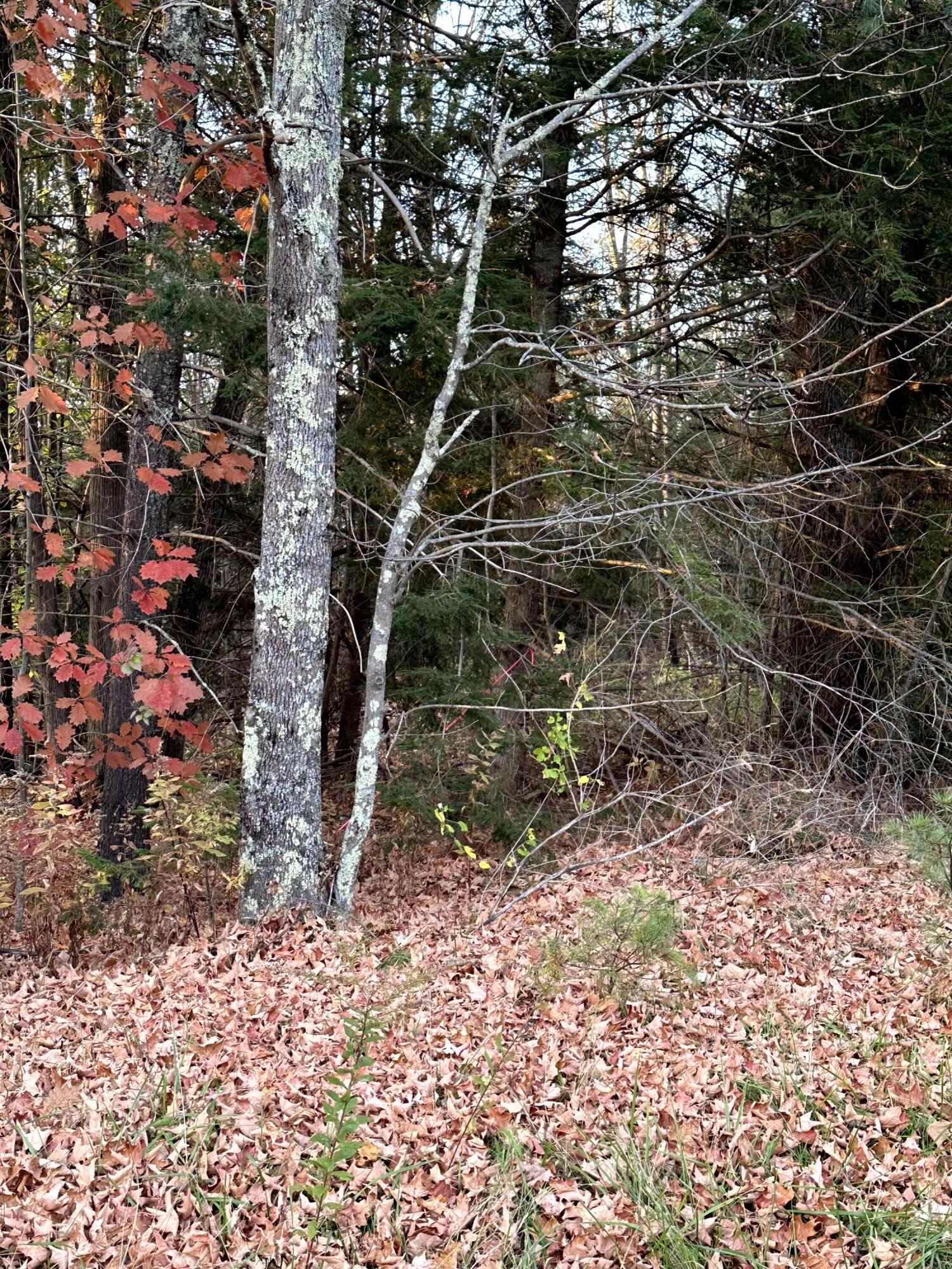 Map 14 Lot 5 Unity Road