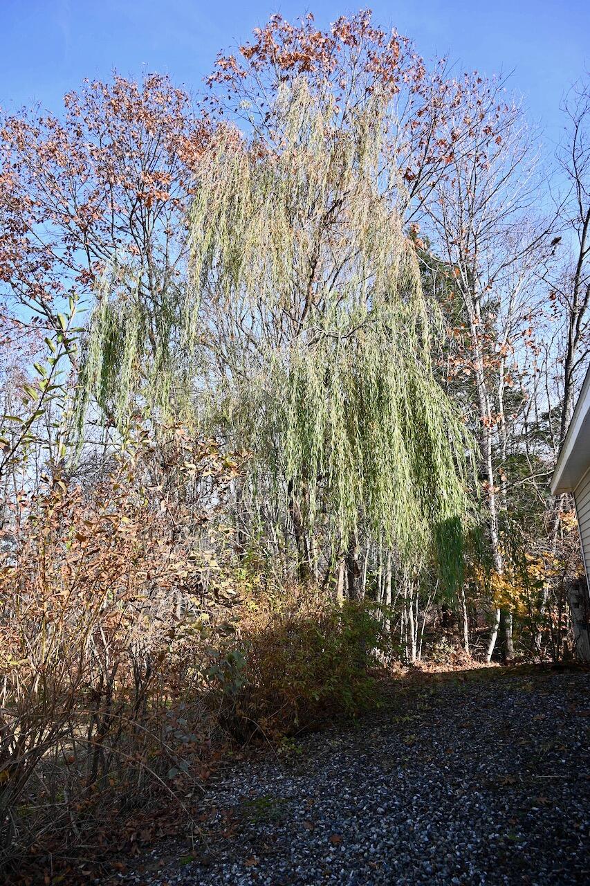 91 Poulin Court