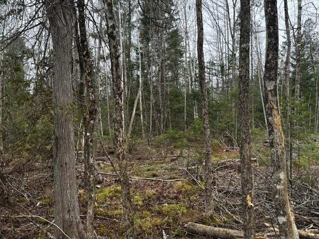 Lot 2 Gee Road