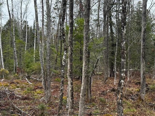 Lot 2 Gee Road