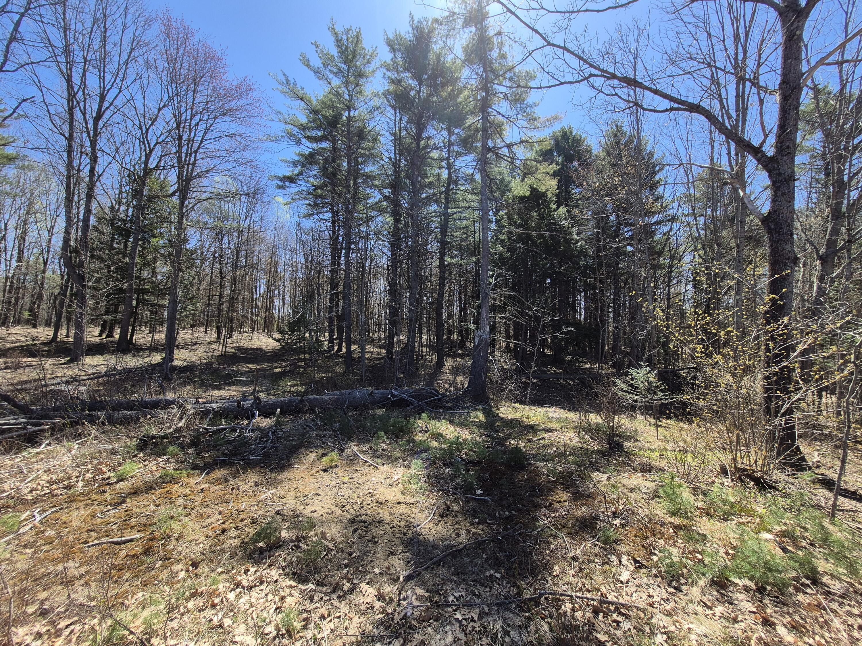 Lot 24E S & V Lane