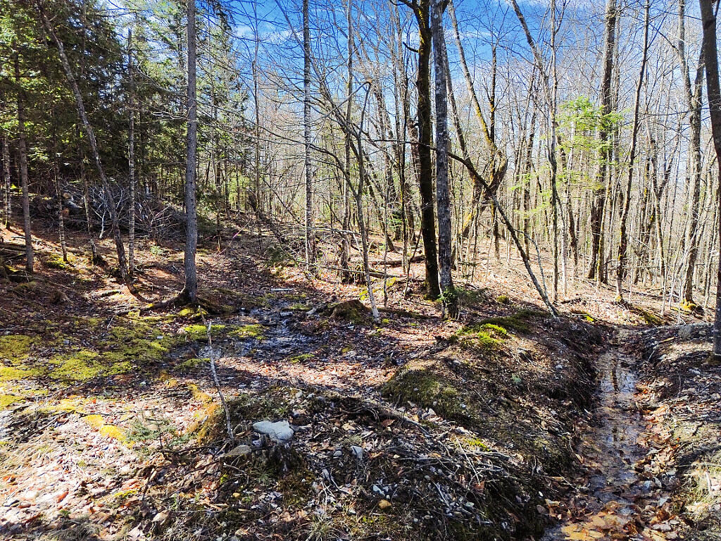 611 N Blanchard Shirley Road