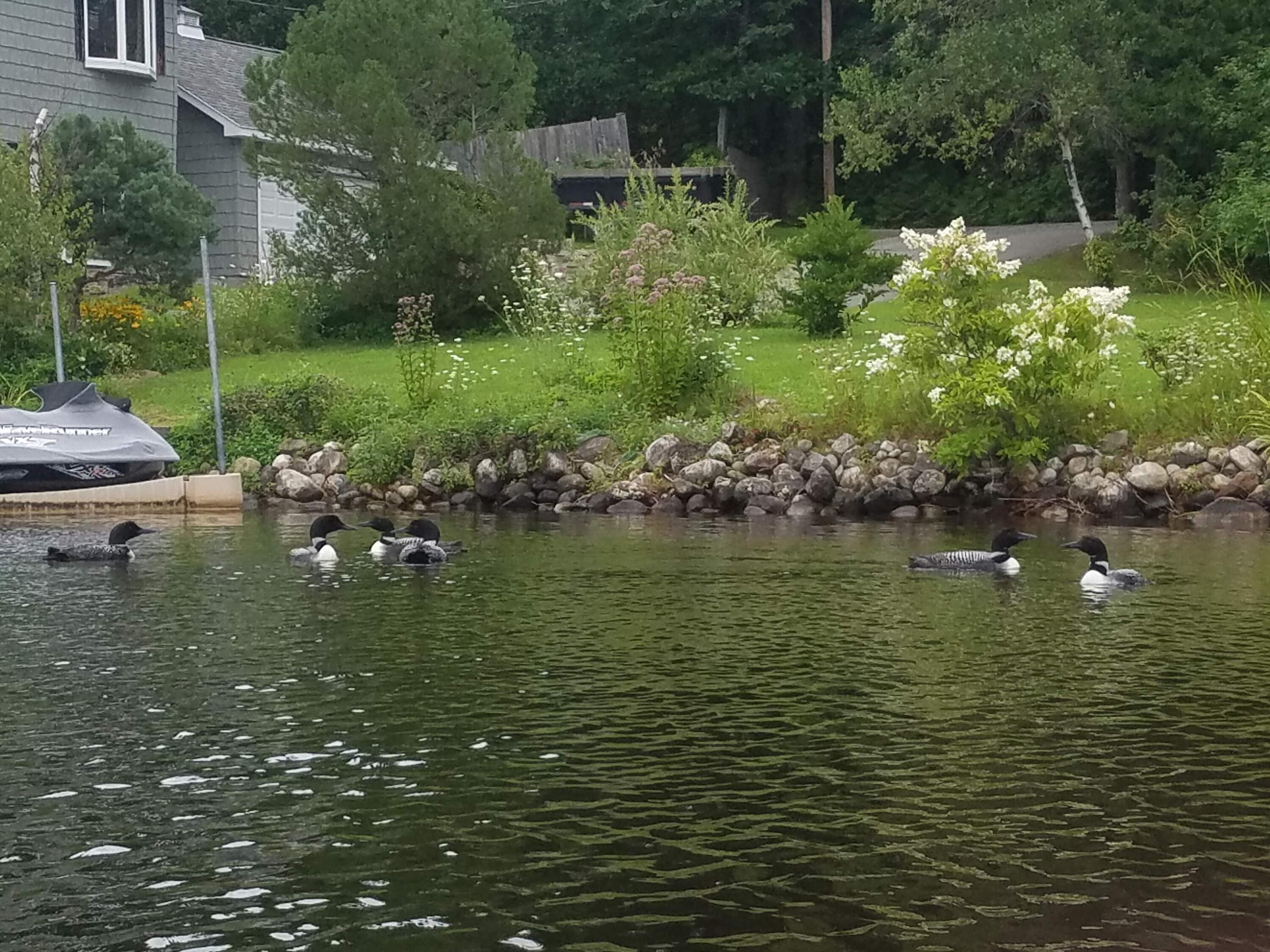 54 Sunny Shore Place
