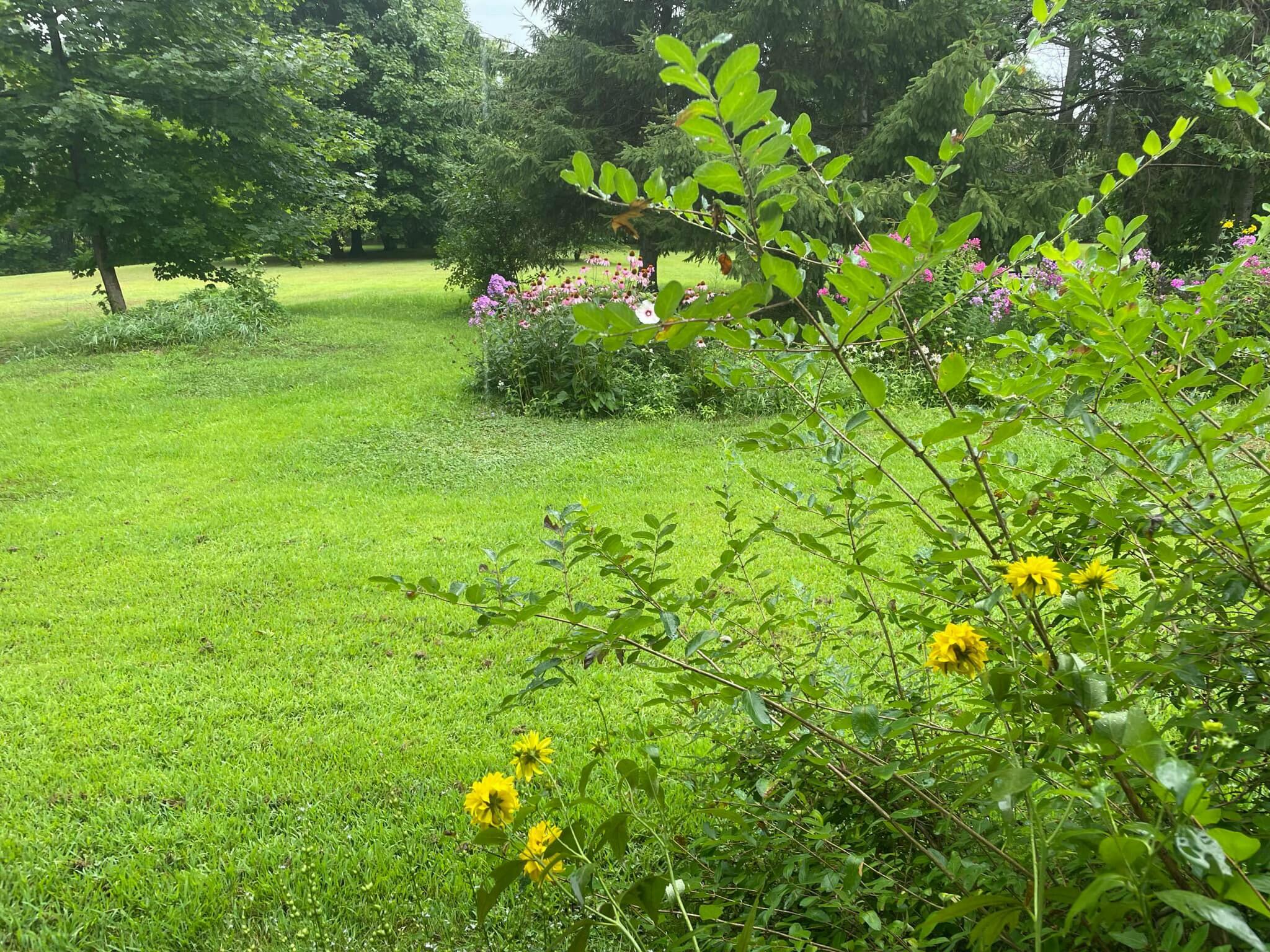 133 Cemetery Road