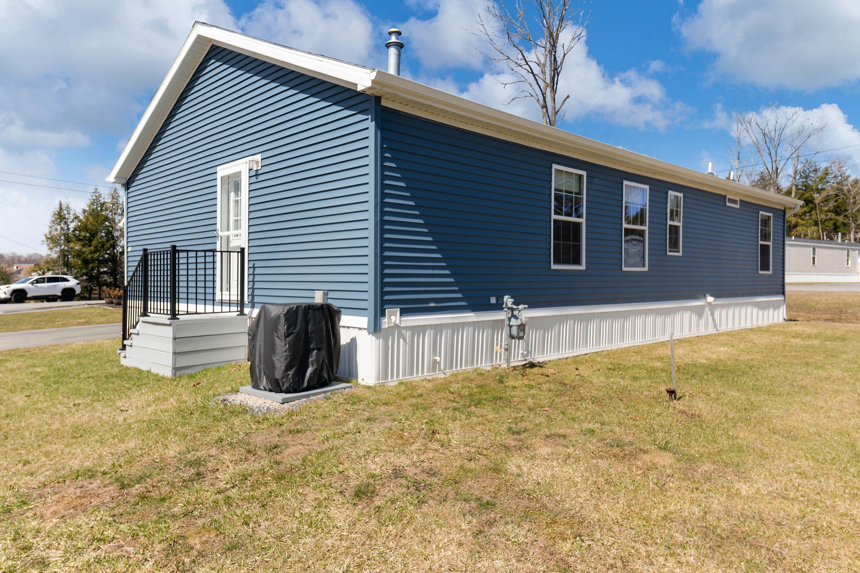 41 Punky Lane