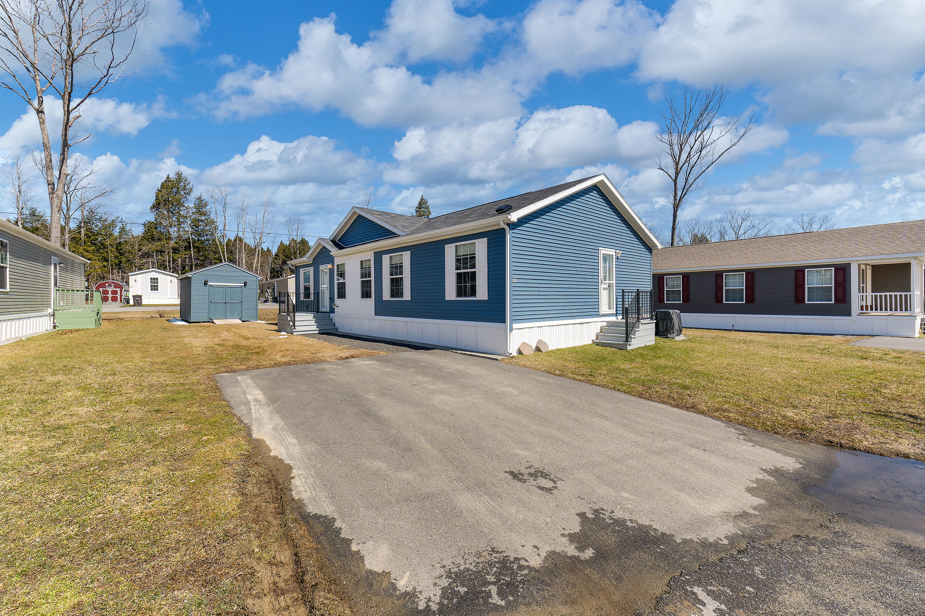 41 Punky Lane