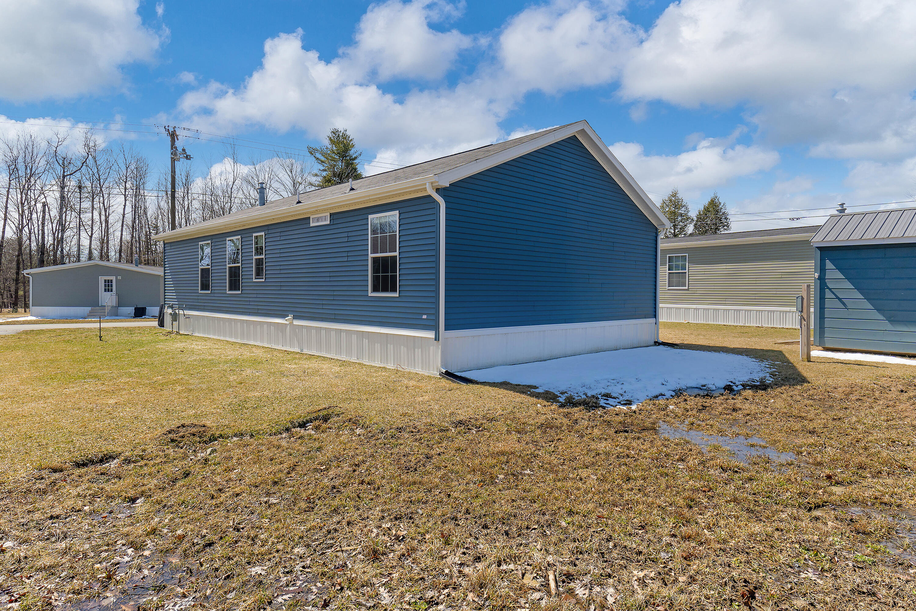 41 Punky Lane