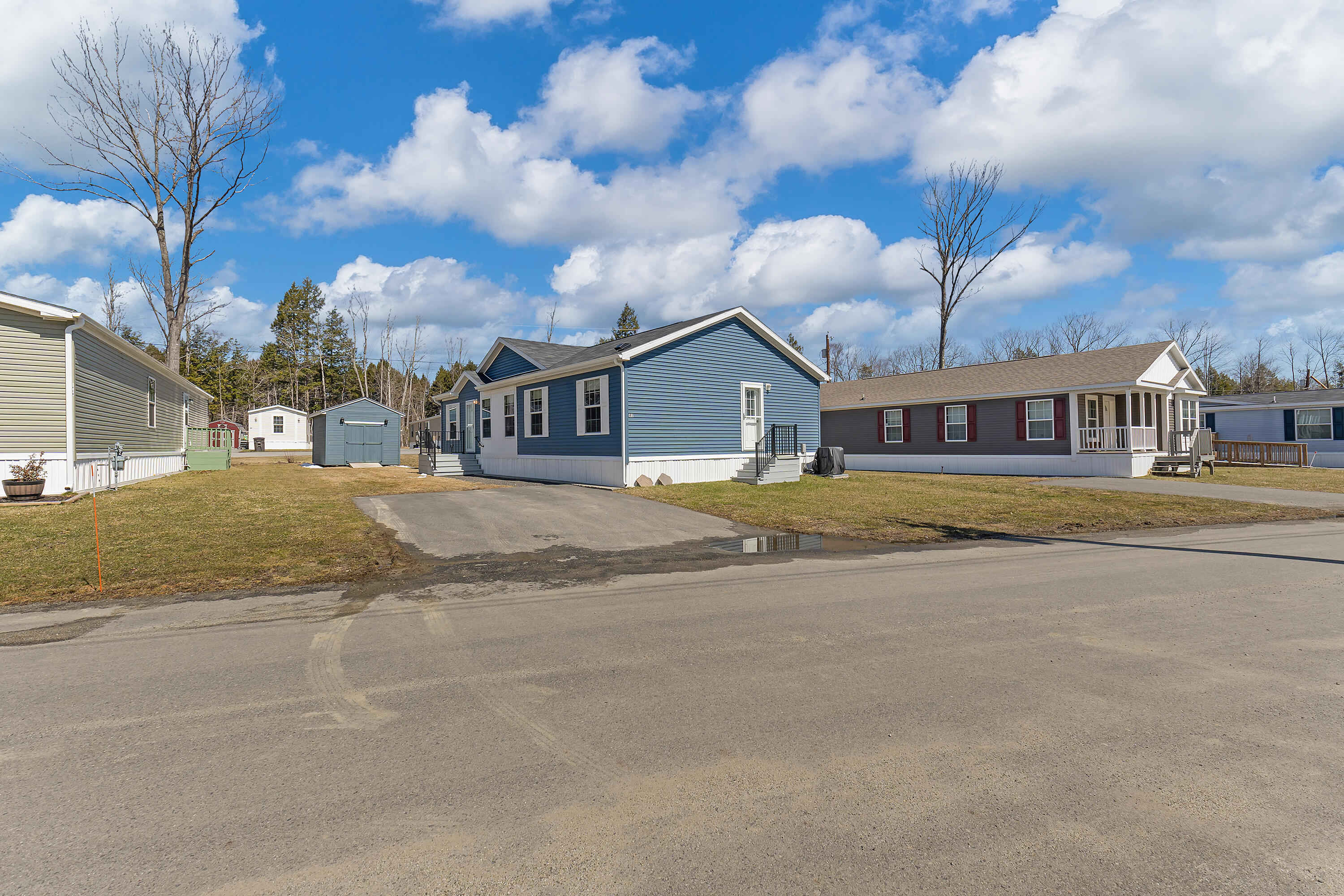 41 Punky Lane