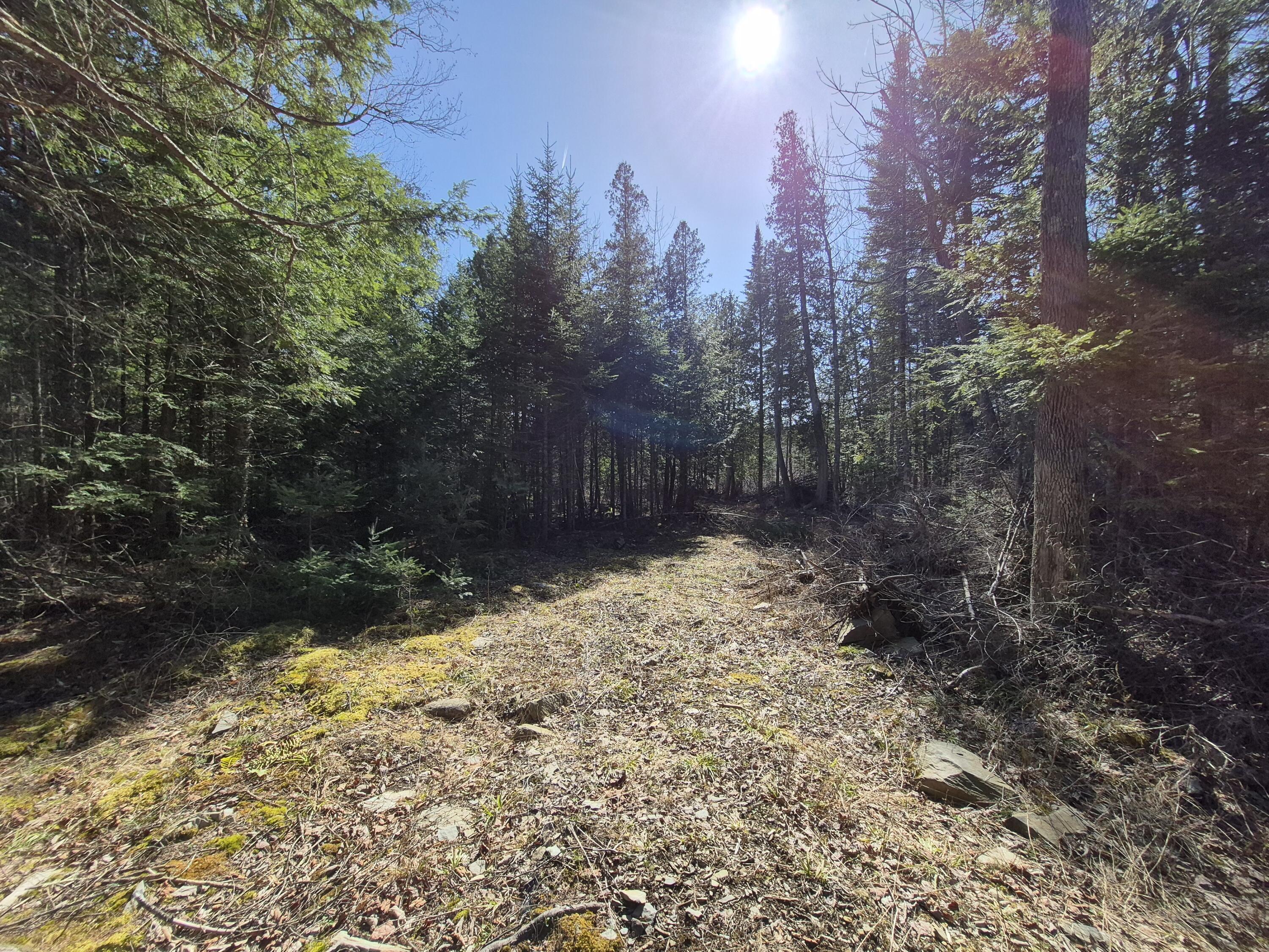 M12 L22-23 Merrill Road