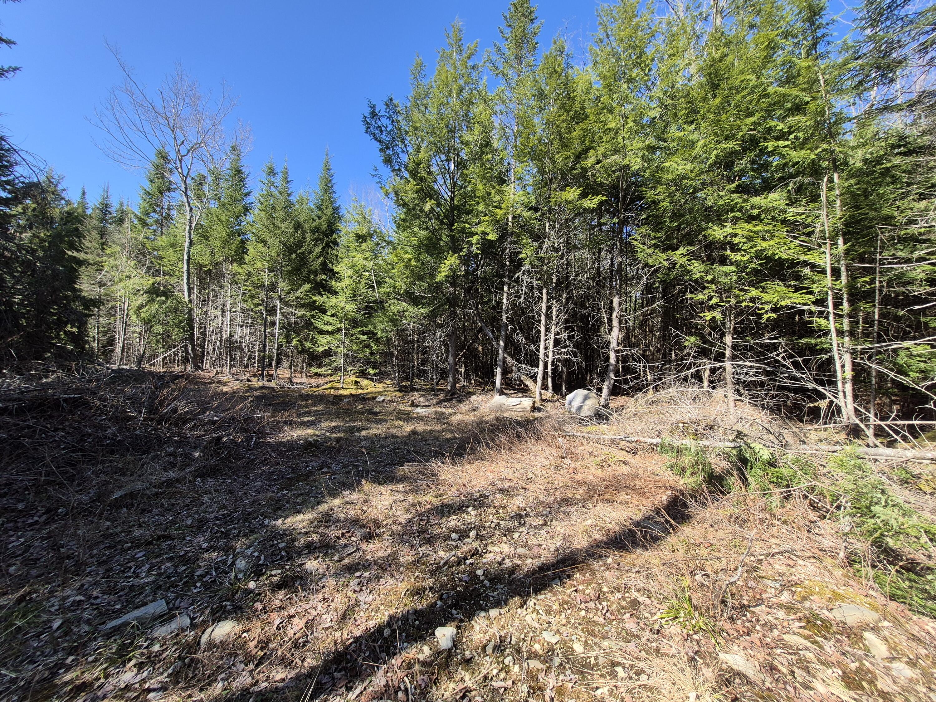 M12 L22-23 Merrill Road