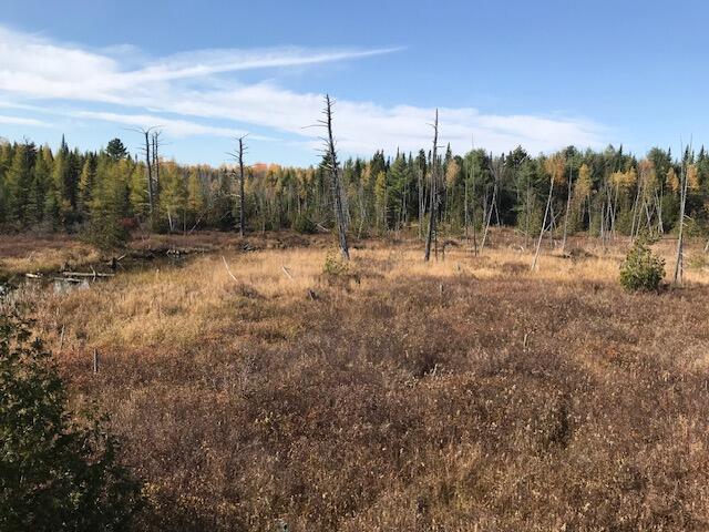 M12 L22-23 Merrill Road