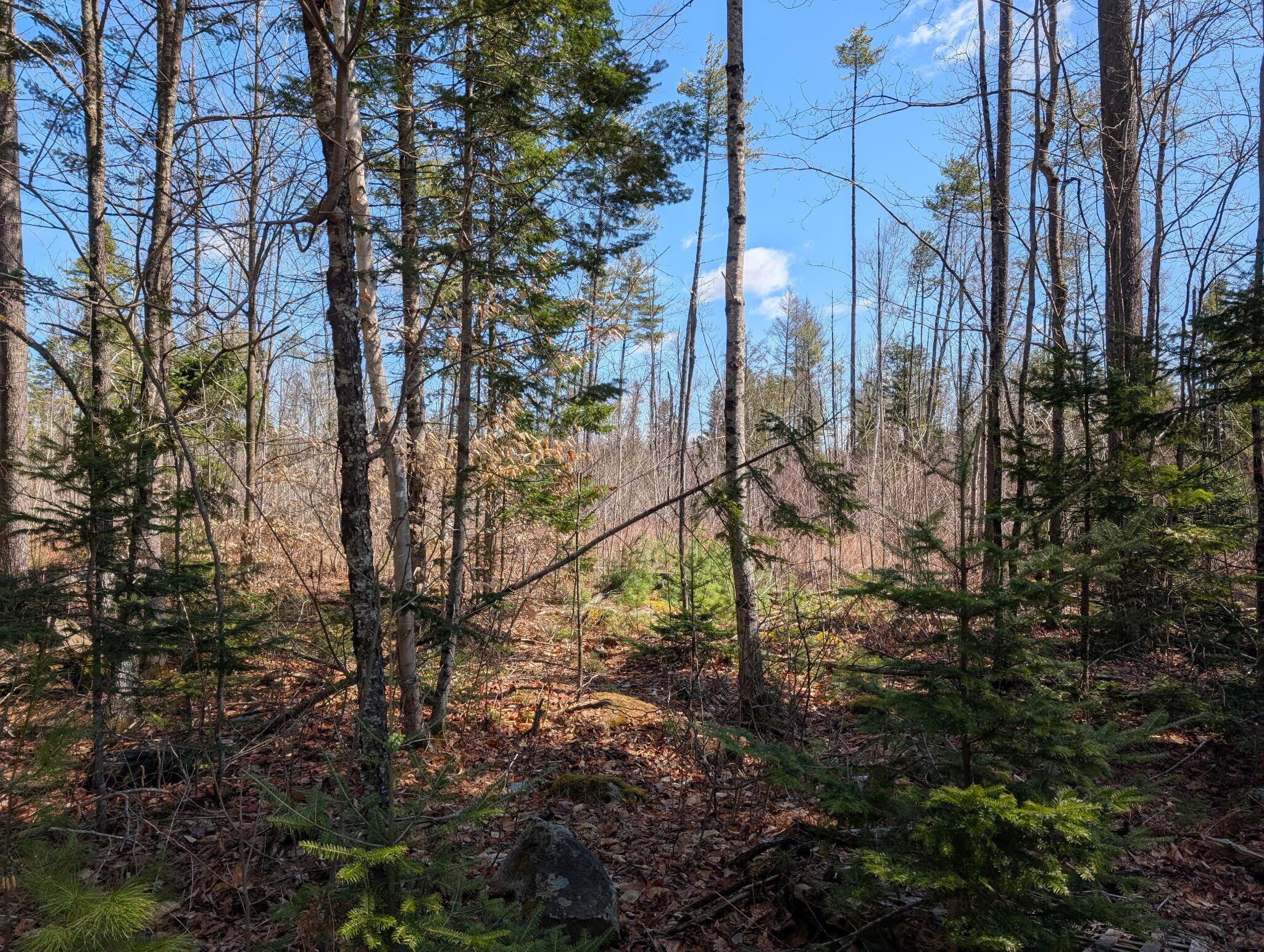 365 Canaan Road