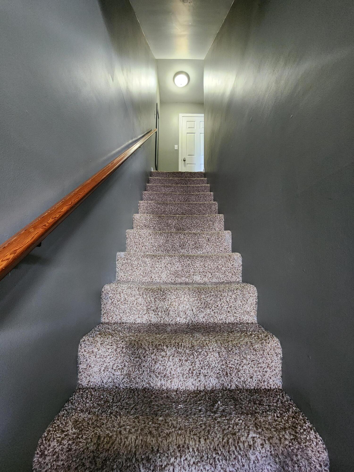 35 Mathews Avenue, 43